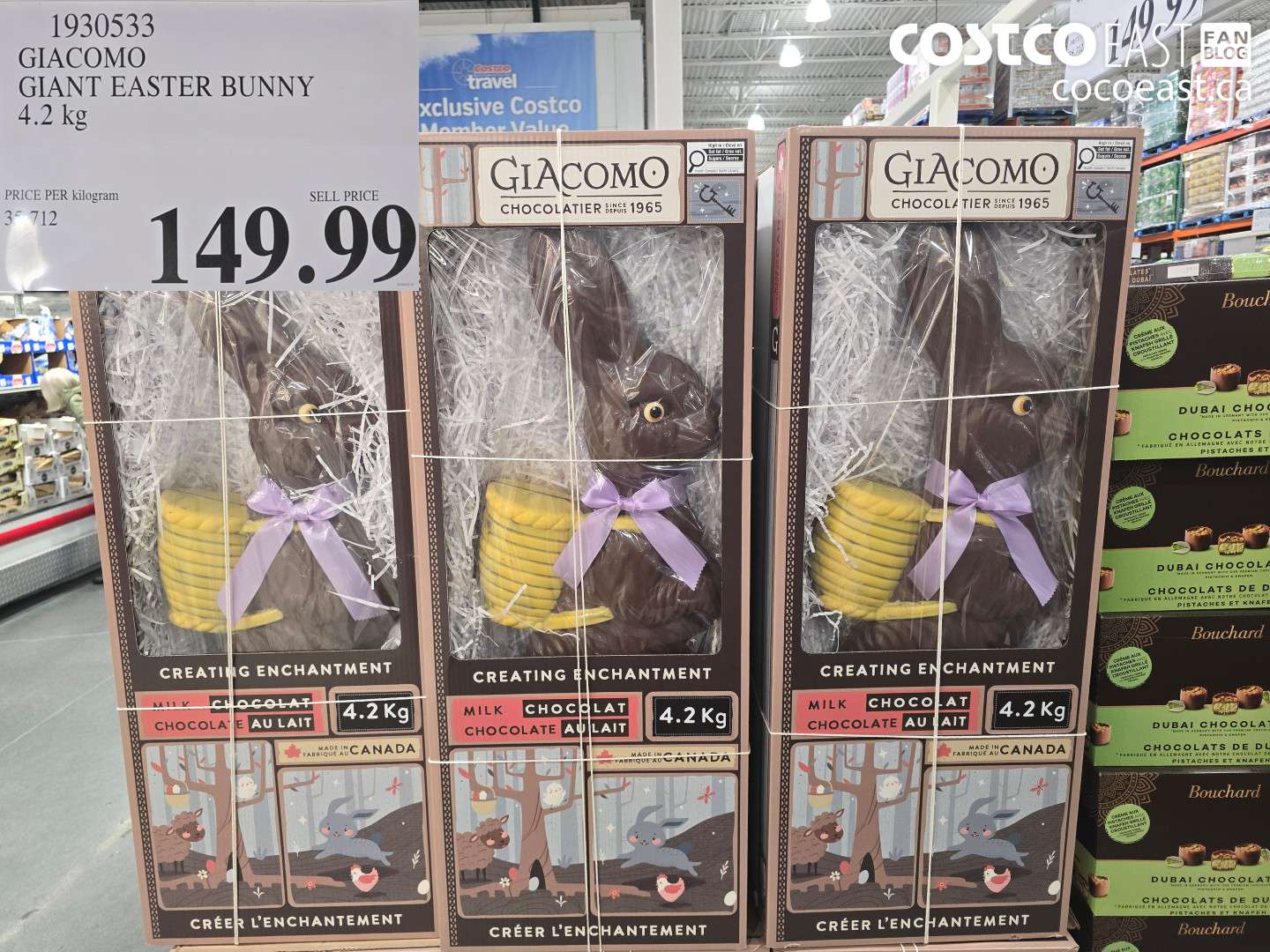 1930533 GIACOMO GIANT EASTER BUNNY 4.2 kg $149.99
