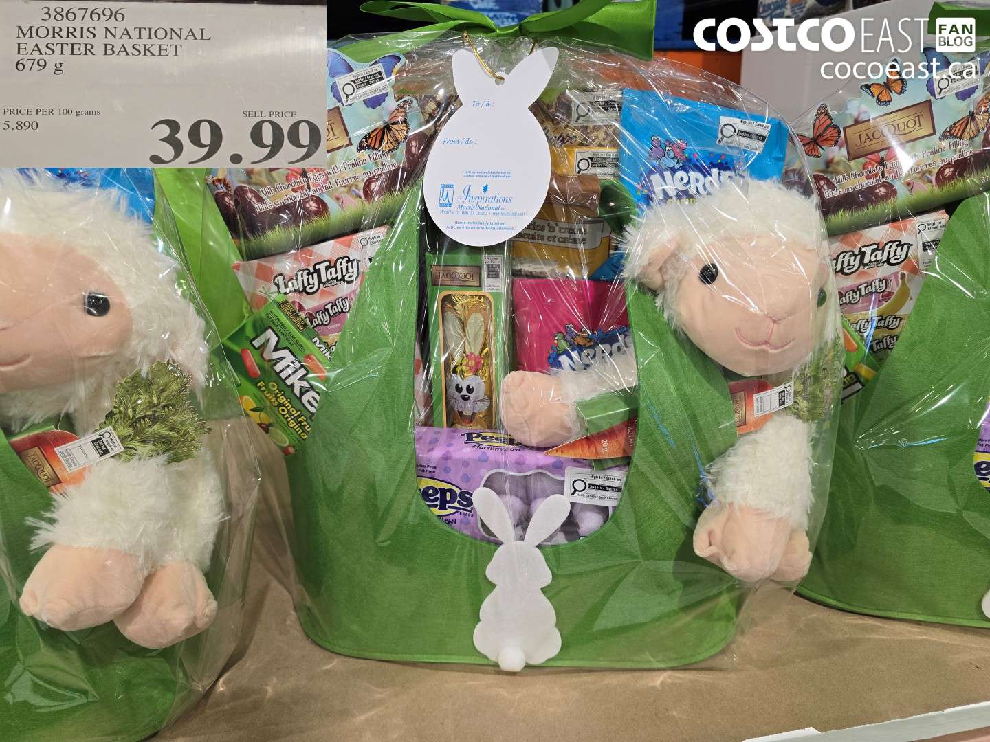 3867696 MORRIS NATIONAL EASTER BASKET 679 G $39.99