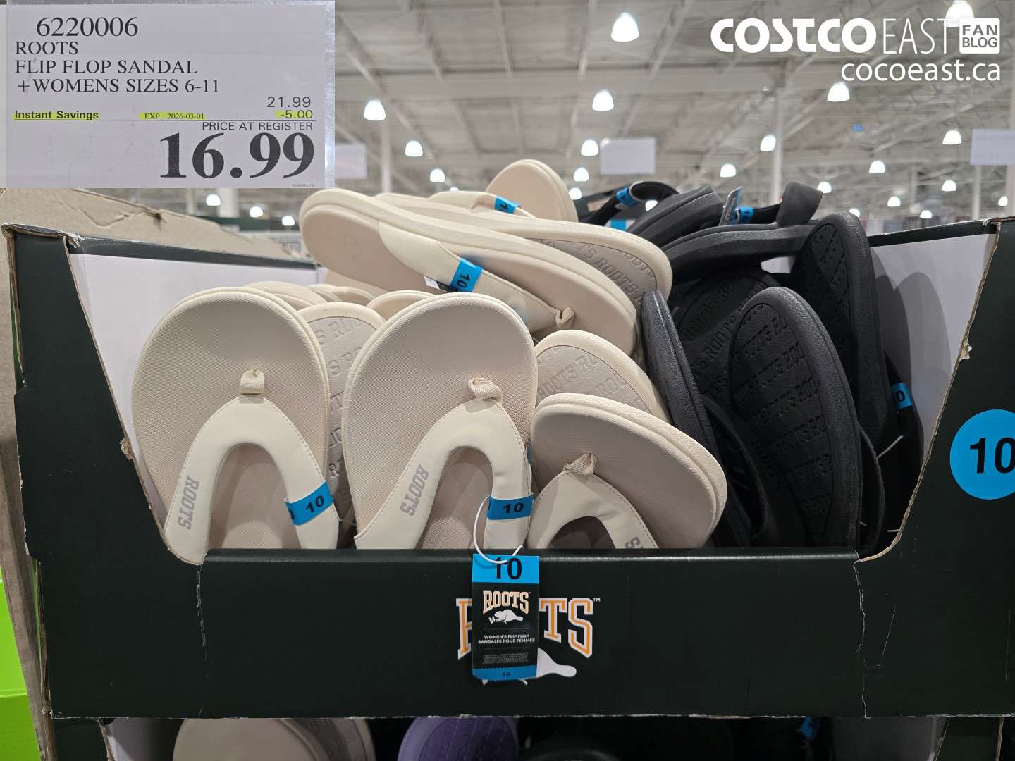 6222006 ROOTS FLIP FLOP SANDAL + WOMENS SIZES 6-11 ($5.00 INSTANT SAVINGS EXPIRES ON 2026-03-01) $16.99