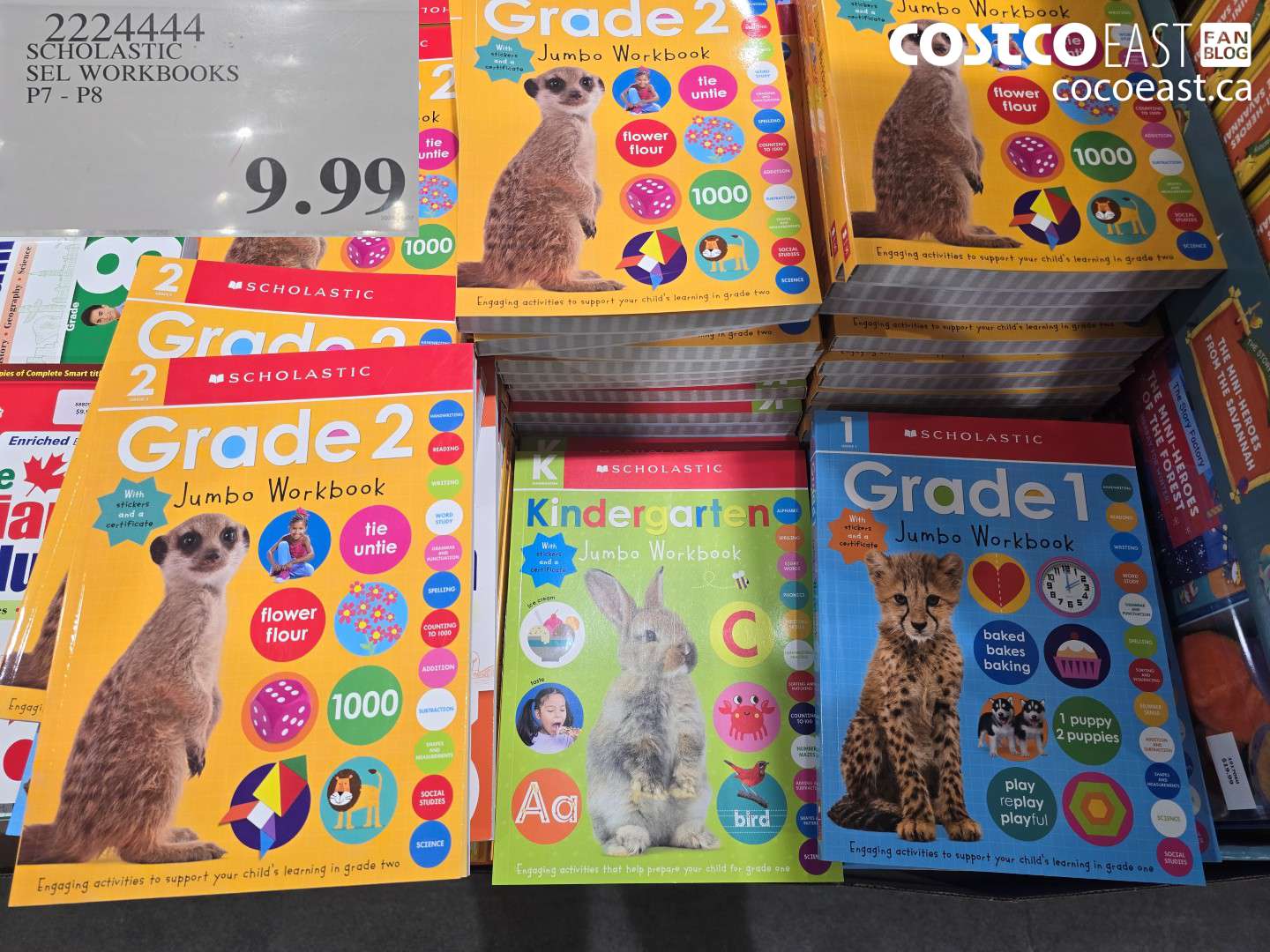 22224444 SCHOLASTIC SEL WORKBOOKS P7 - P8 $9.99