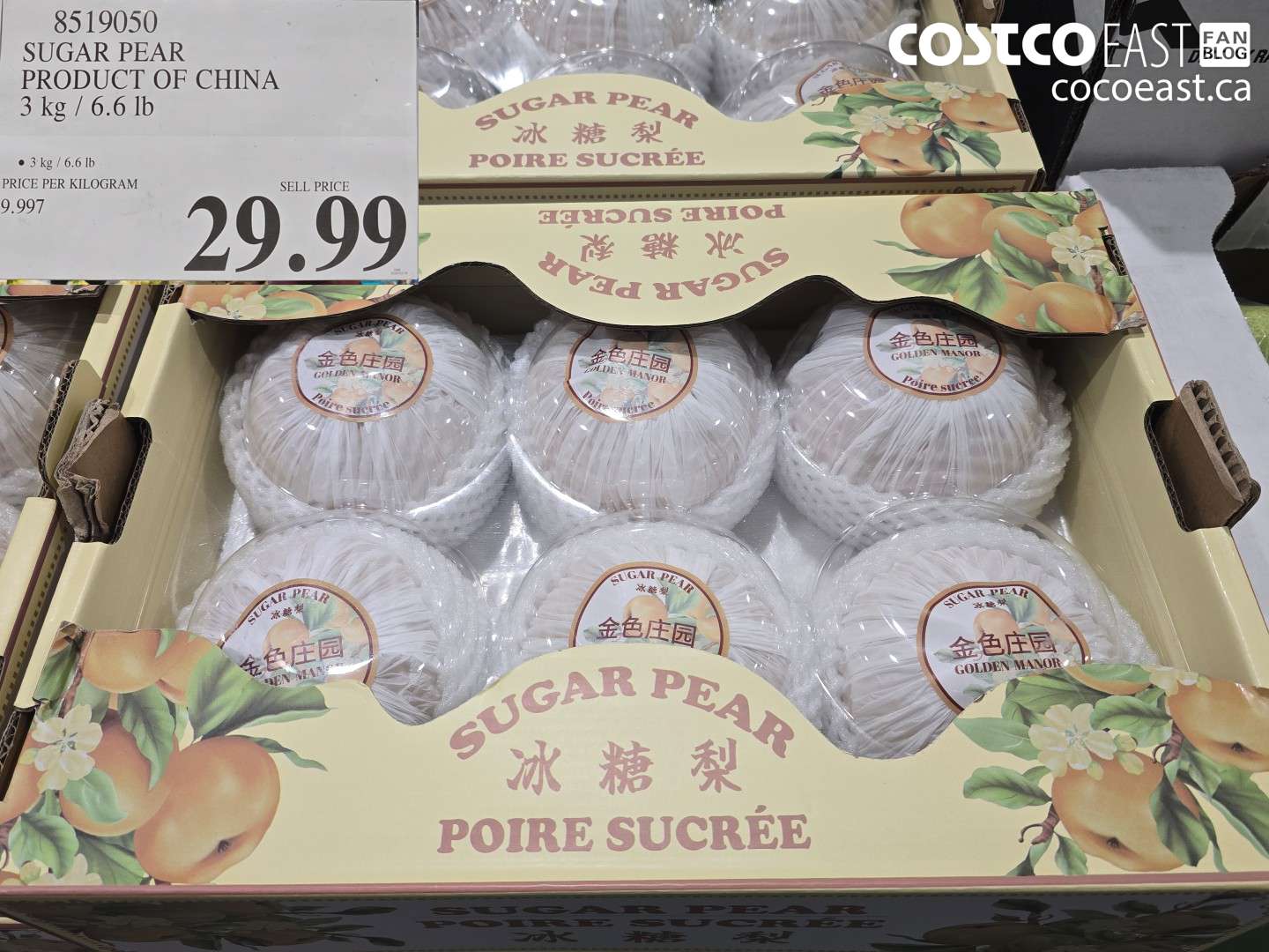 8519050 SUGAR PEAR PRODUCT OF CHINA 3 kg / 6.6 lb $29.99