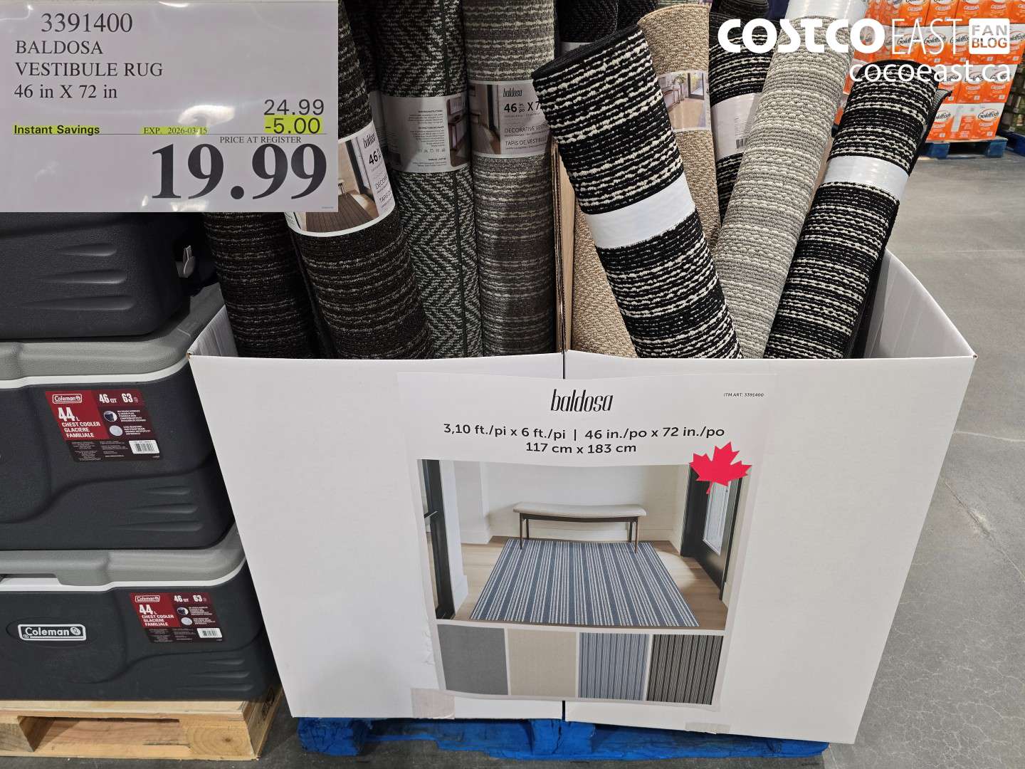 3391400 BALDOSA VESTIBULE RUG 46 IN X 72 IN ($5.00 INSTANT SAVINGS EXPIRES ON 2026-03-15) $19.99