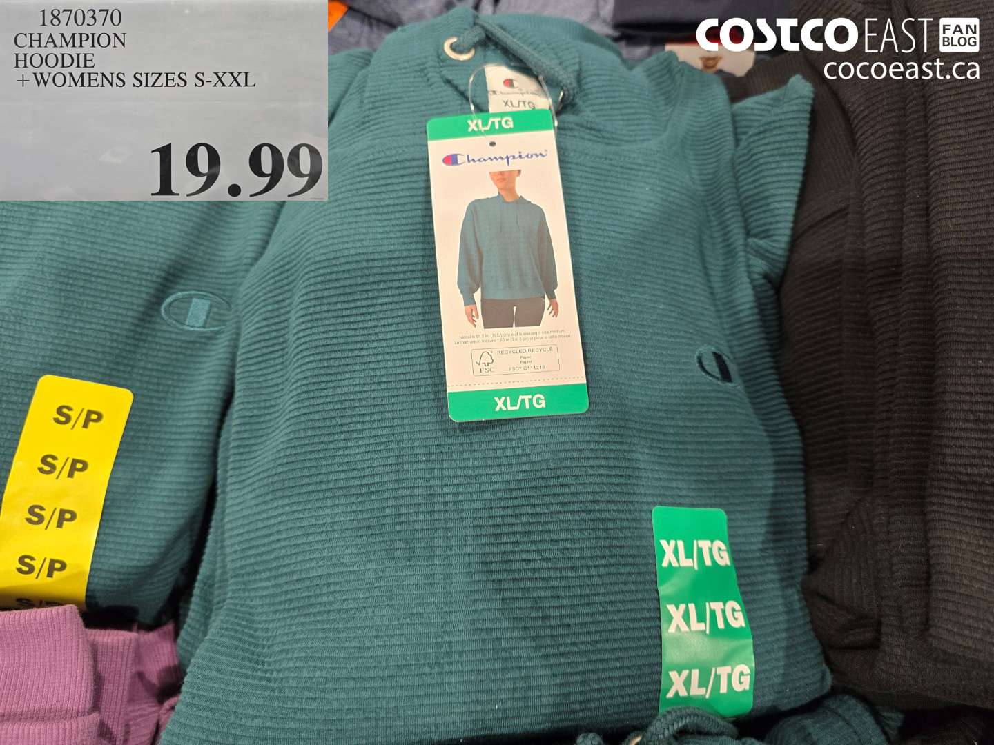 1870370 CHAMPION HOODIE +WOMENS SIZES S-XXL $19.99