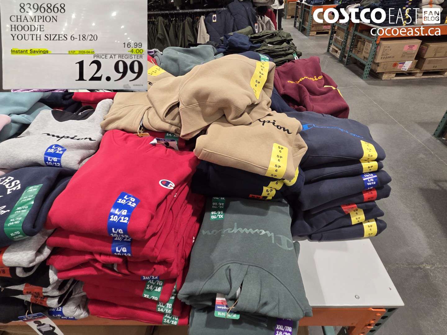 8396886 CHAMPION HOODIE YOUTH SIZES 6-18/20 ($4.00 INSTANT SAVINGS EXPIRES ON 2026-04-05) $12.99