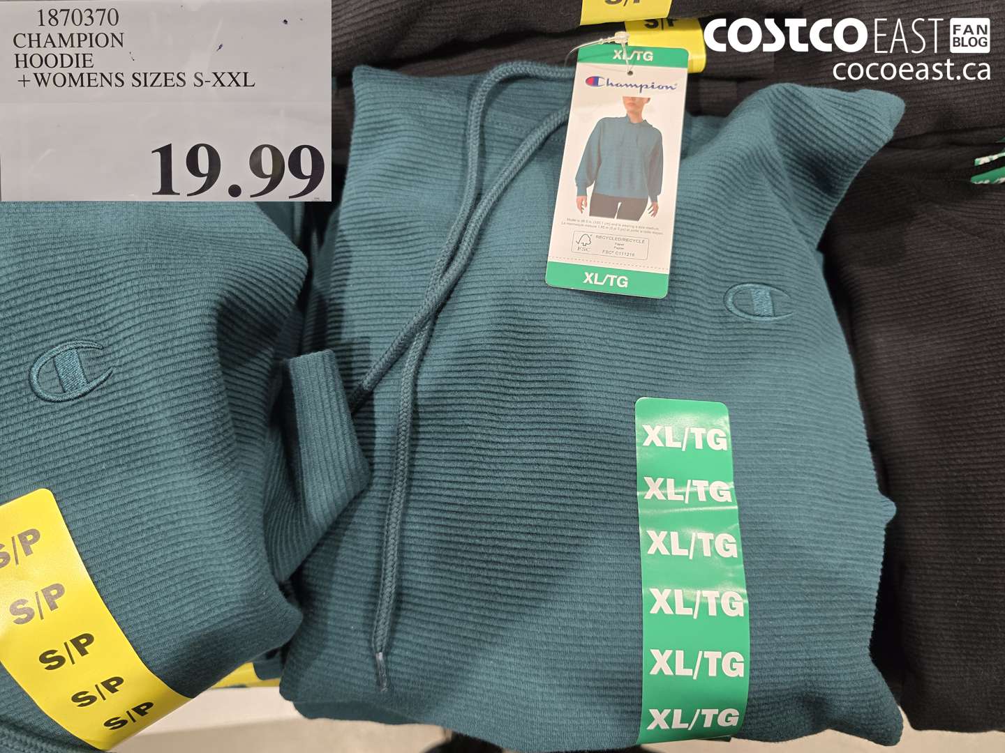 1870370 CHAMPION HOODIE + WOMENS SIZES S-XXL $19.99