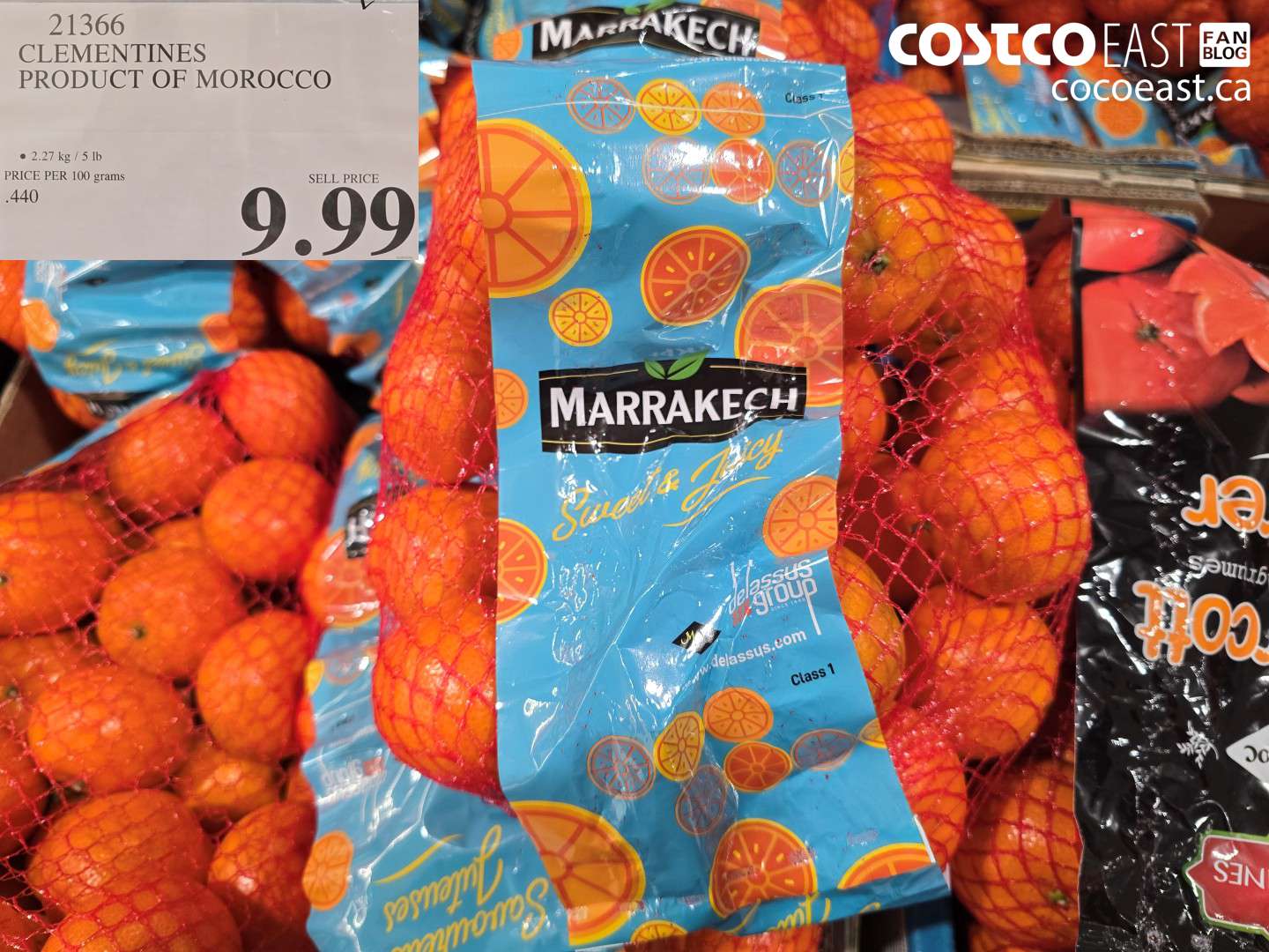 21366 CLEMENTINES PRODUCT OF MOROCCO $9.99