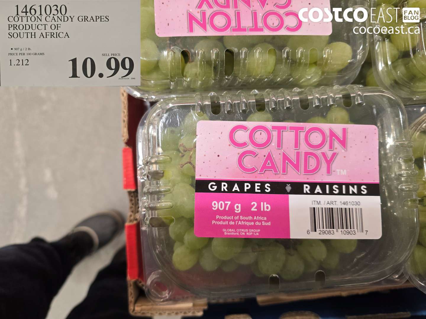 1461030 COTTON CANDY GRAPES PRODUCT OF SOUTH AFRICA $10.99
