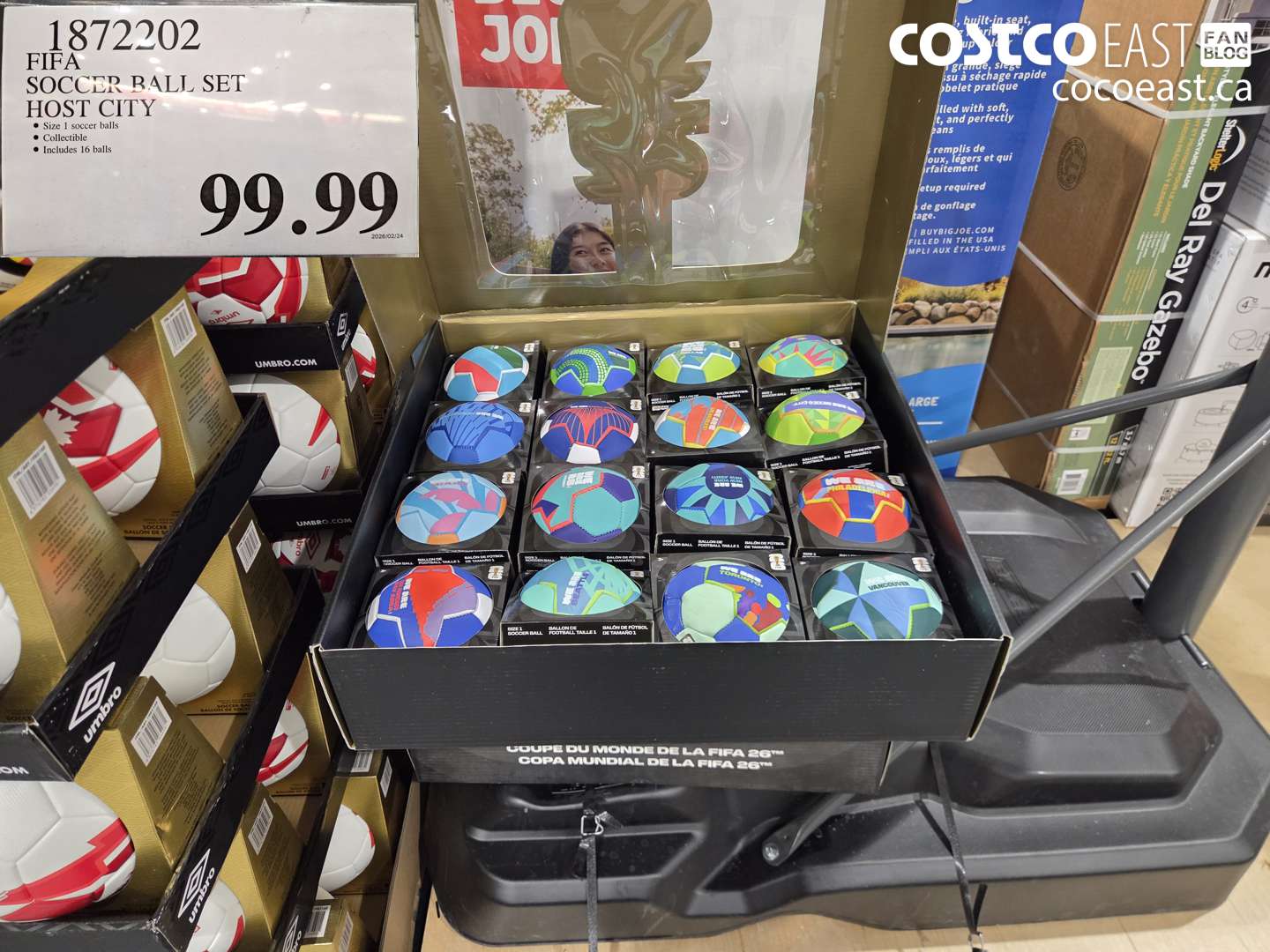 1872202 FIFA SOCCER BALL SET HOST CITY $99.99