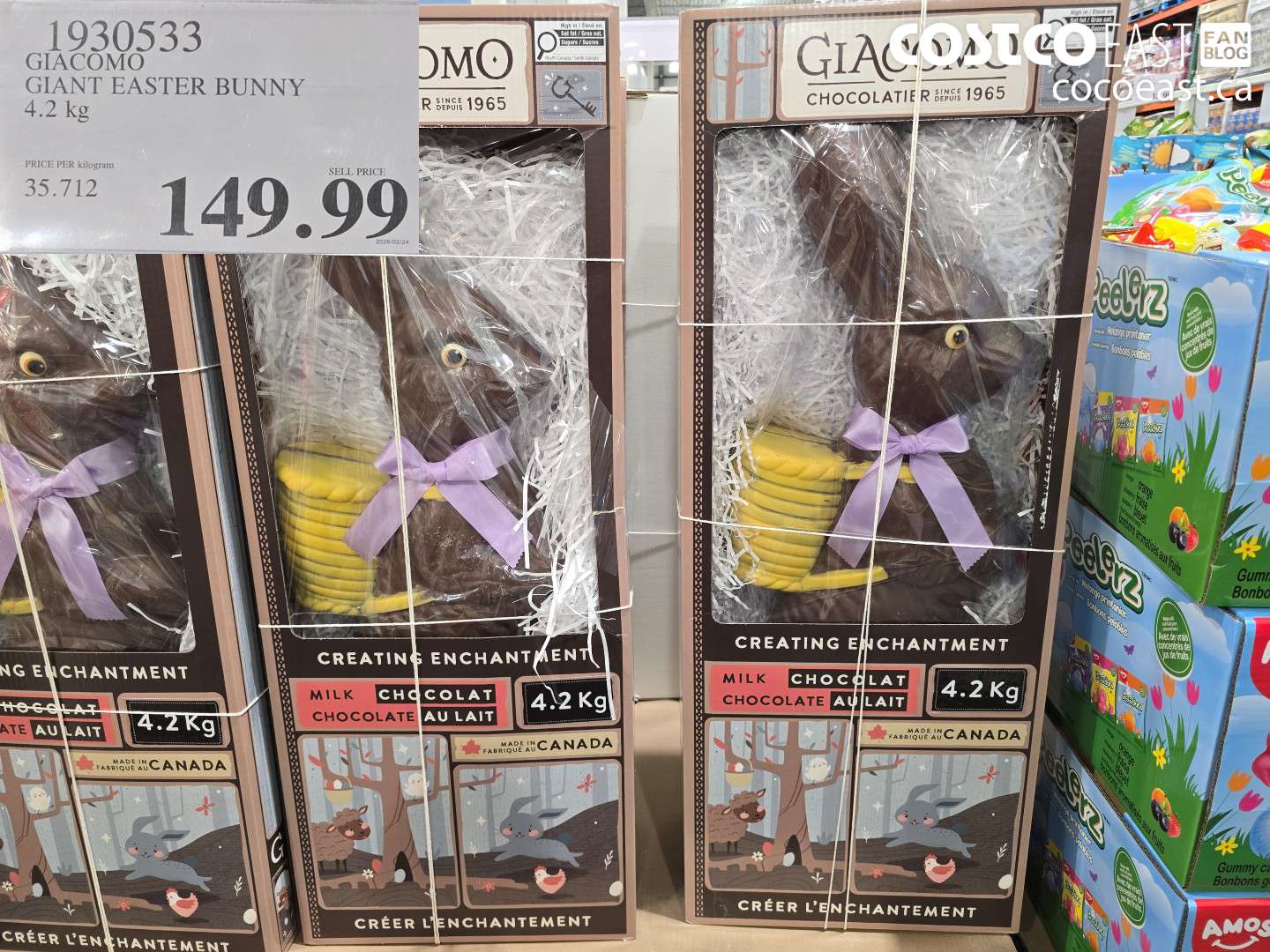 1930533 GIACOMO GIANT EASTER BUNNY 4.2 KG $149.99