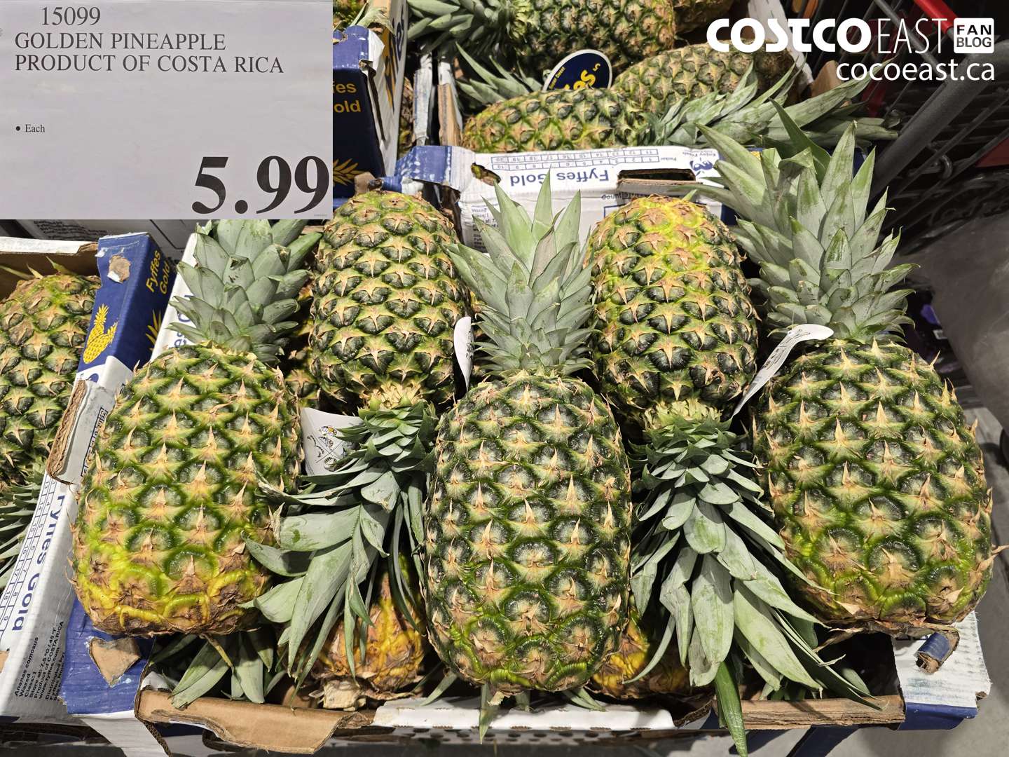 15099 GOLDEN PINEAPPLE PRODUCT OF COSTA RICA $5.99