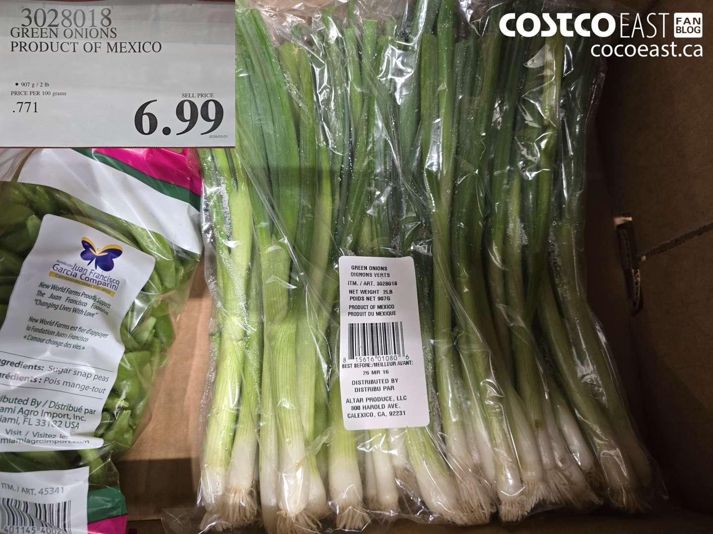 3028018 GREEN ONIONS PRODUCT OF MEXICO $6.99