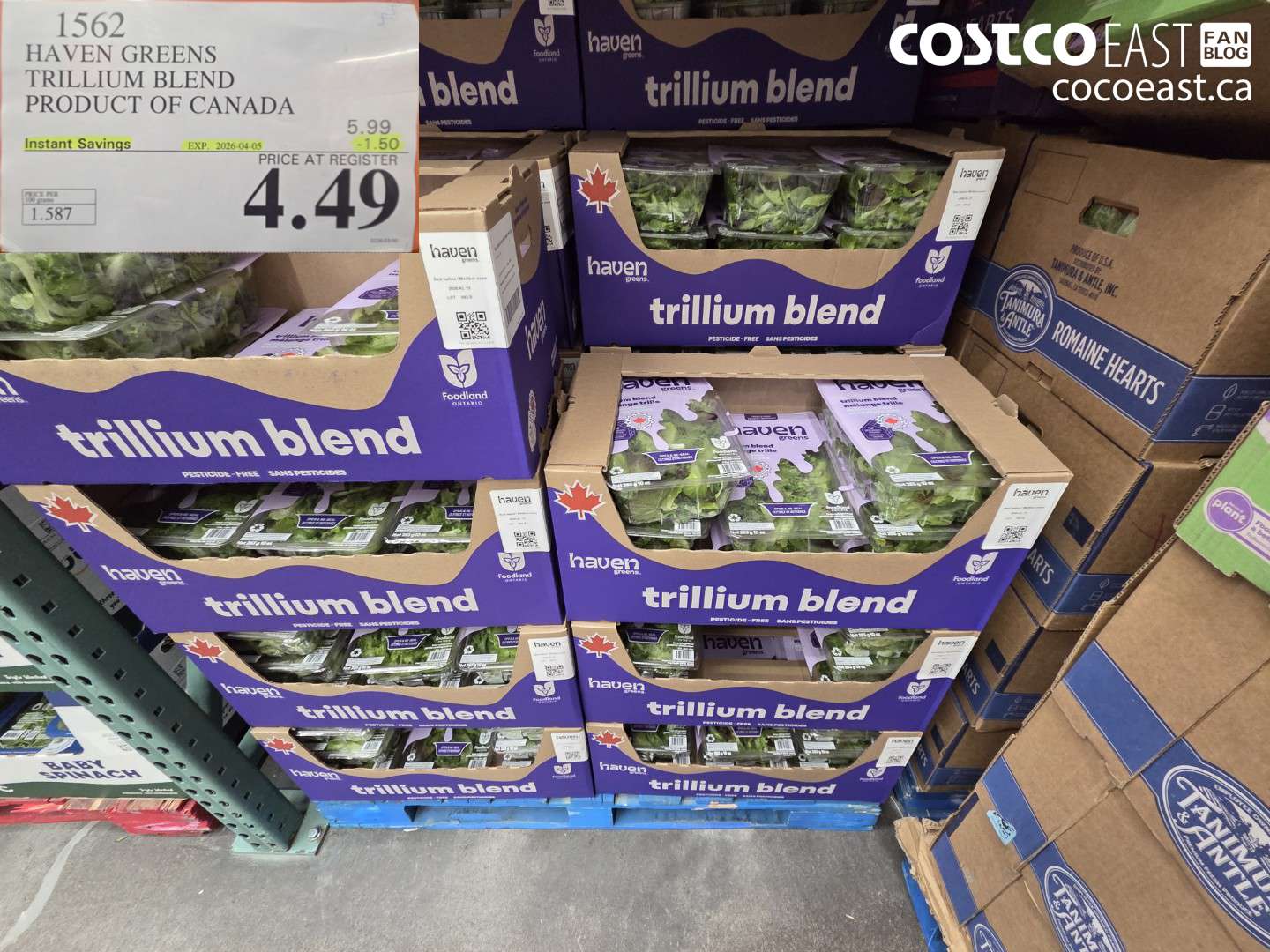1562 HAVEN GREENS TRILLIUM BLEND PRODUCT OF CANADA ($1.50 INSTANT SAVINGS EXPIRES ON 2026-04-05) $4.49