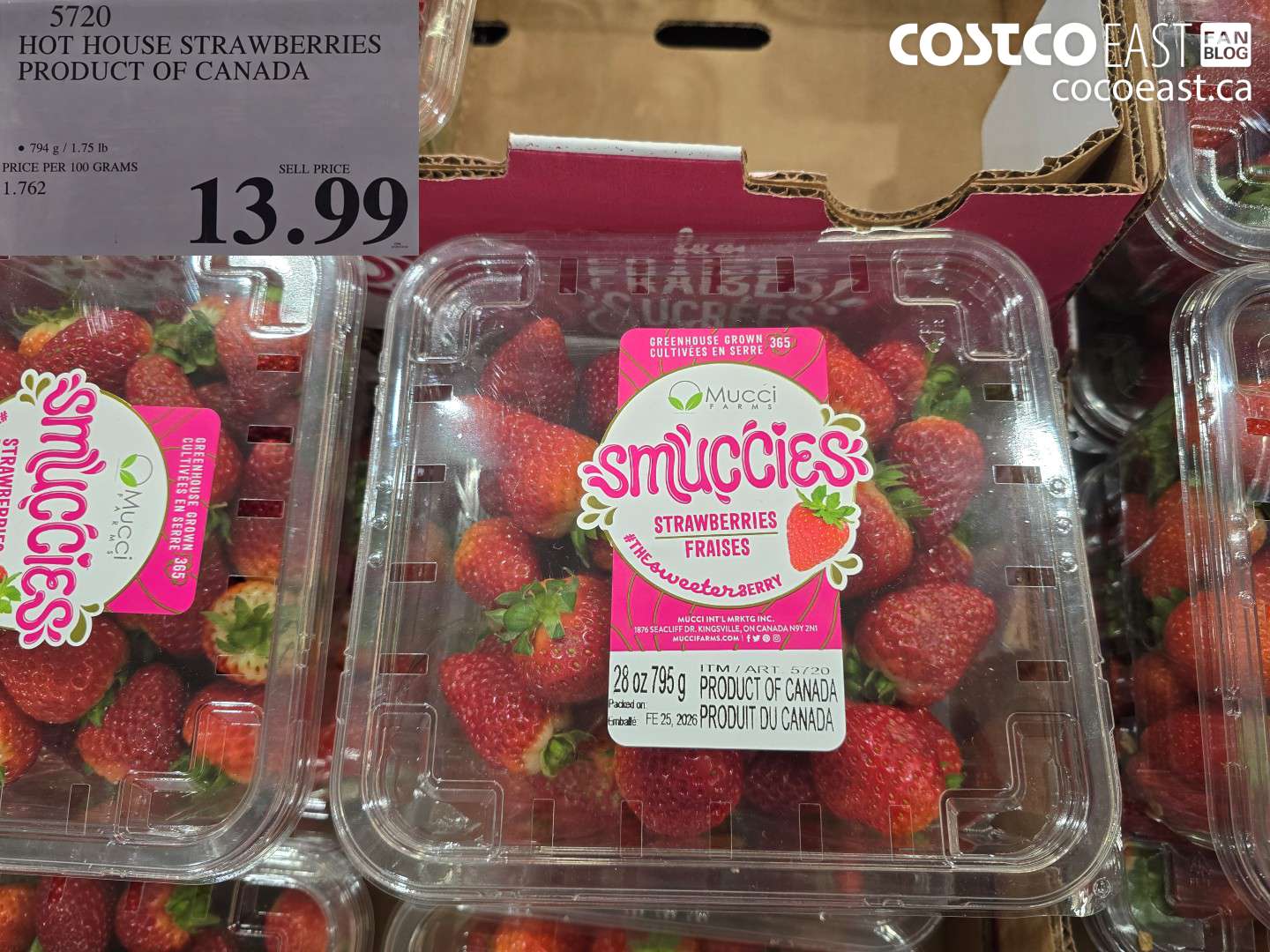 5720 HOT HOUSE STRAWBERRIES PRODUCT OF CANADA $13.99