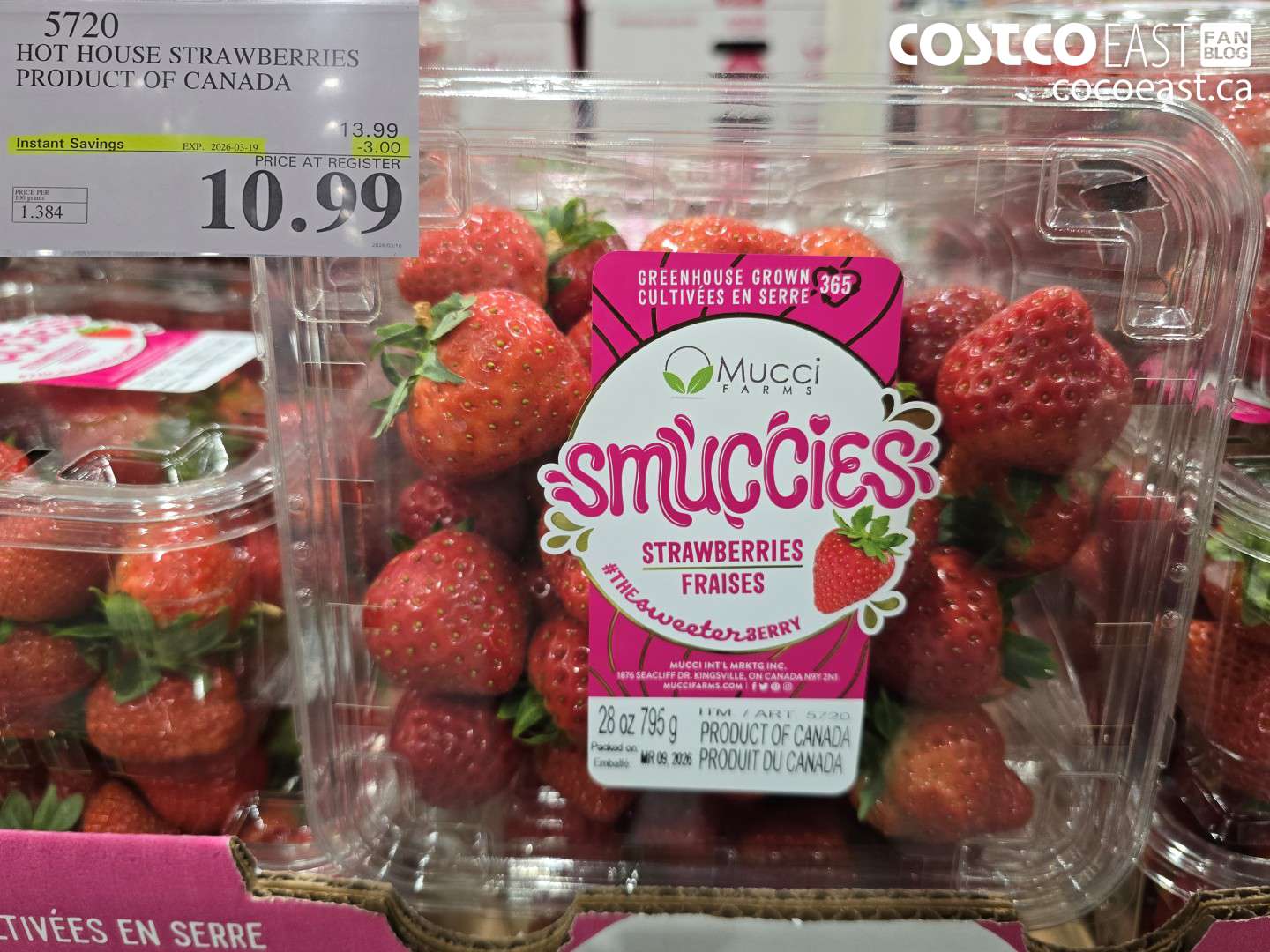 5720 HOT HOUSE STRAWBERRIES PRODUCT OF CANADA ($3.00 INSTANT SAVINGS EXPIRES ON 2026-03-19) $10.99