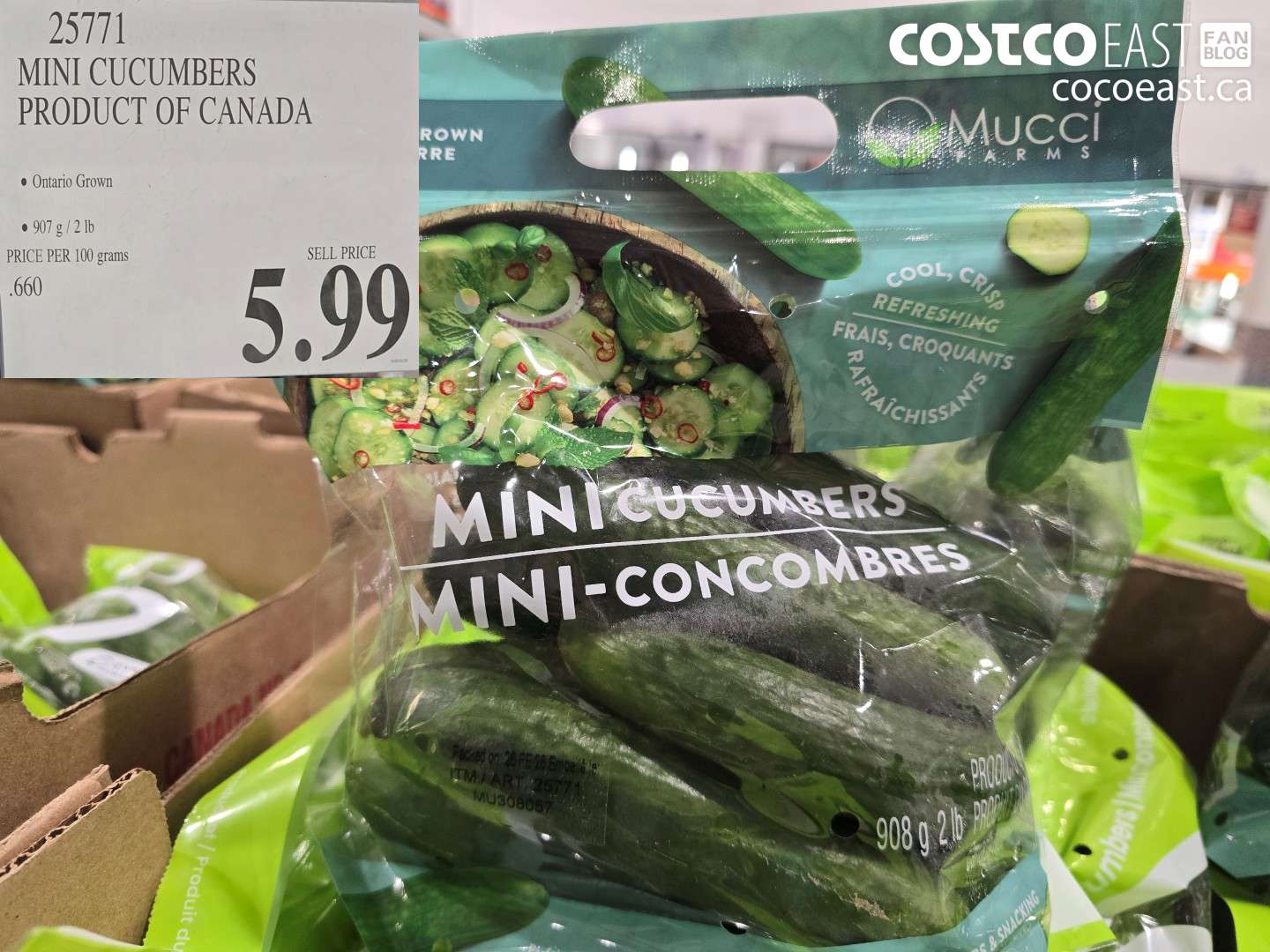 25771 MINI CUCUMBERS PRODUCT OF CANADA $5.99