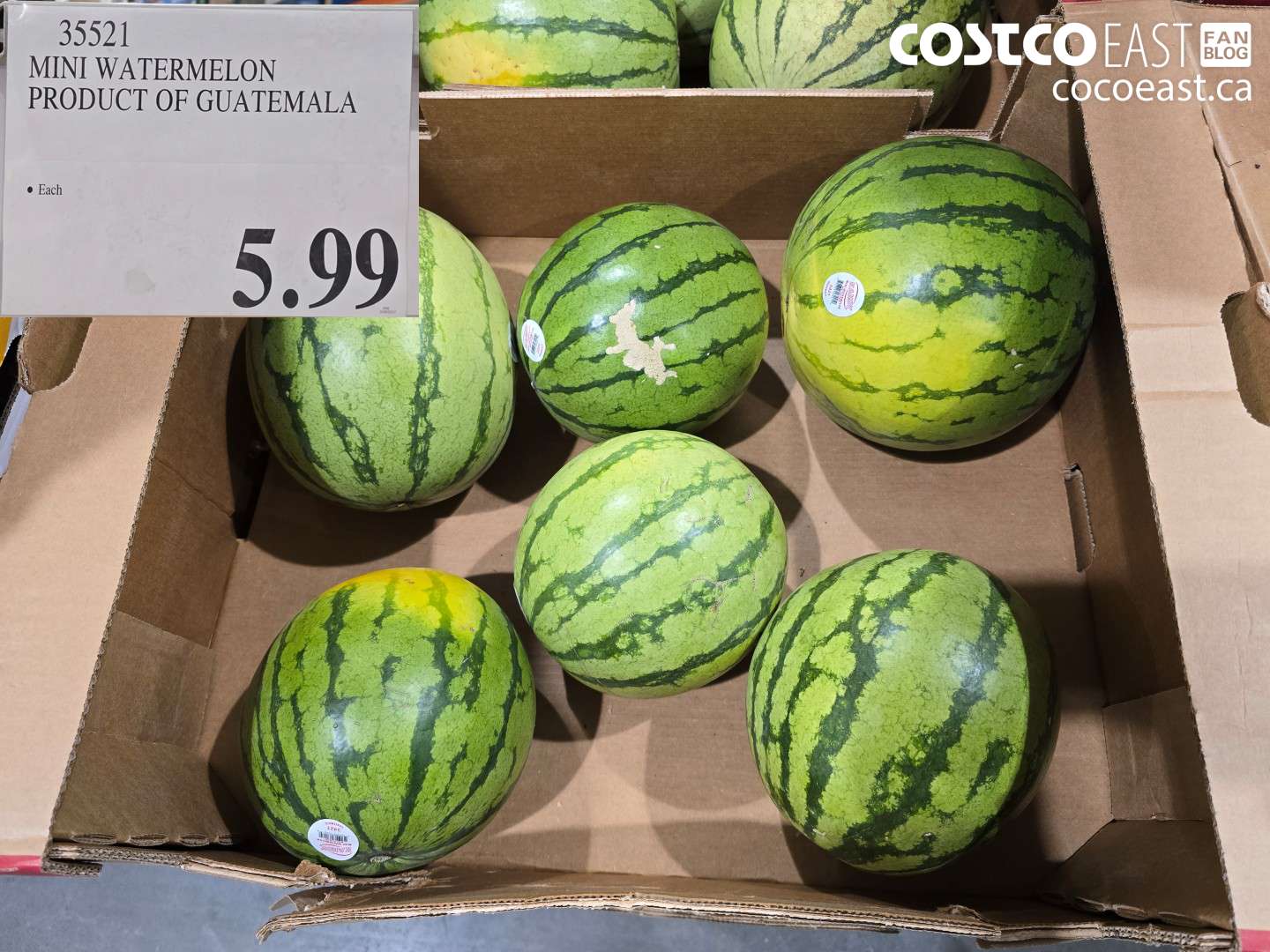 35521 MINI WATERMELON PRODUCT OF GUATEMALA $5.99