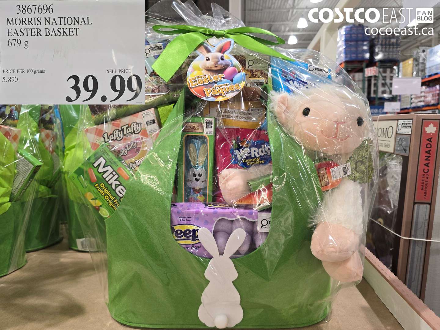 3867696 MORRIS NATIONAL EASTER BASKET 679 G $39.99