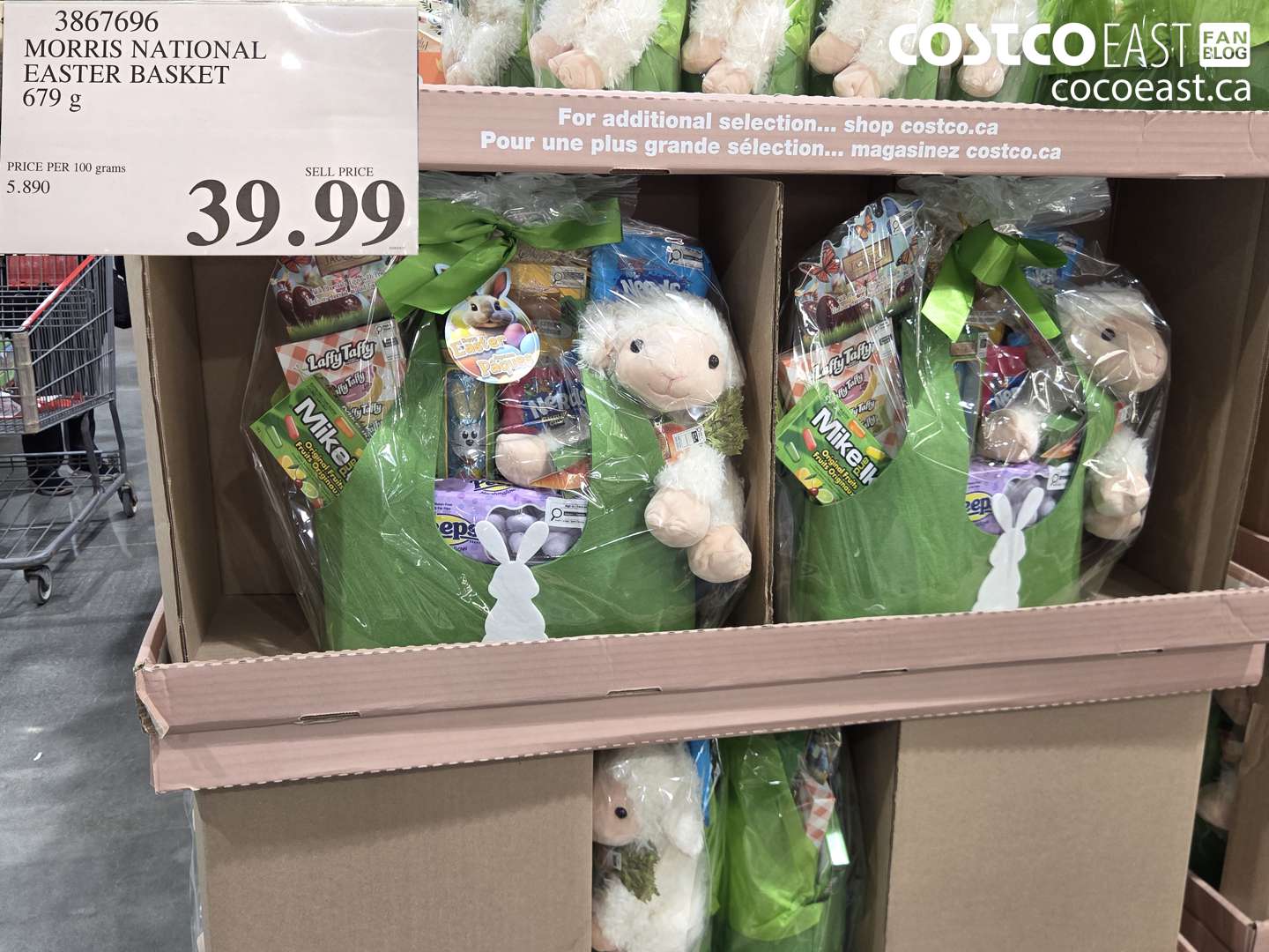 3867696 MORRIS NATIONAL EASTER BASKET 679 G $39.99