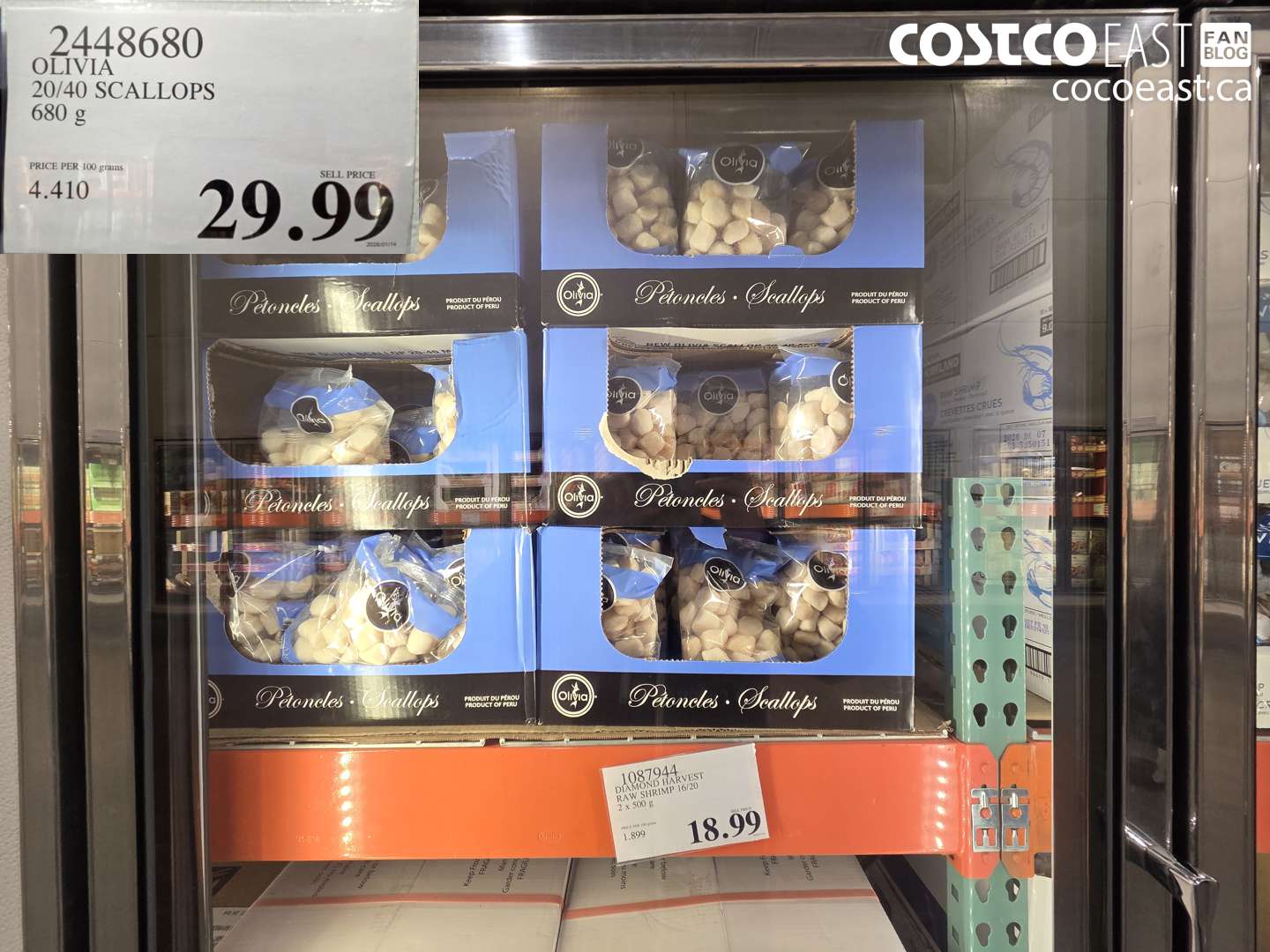 2448680 OLIVIA 20/40 SCALLOPS 680 G $29.90