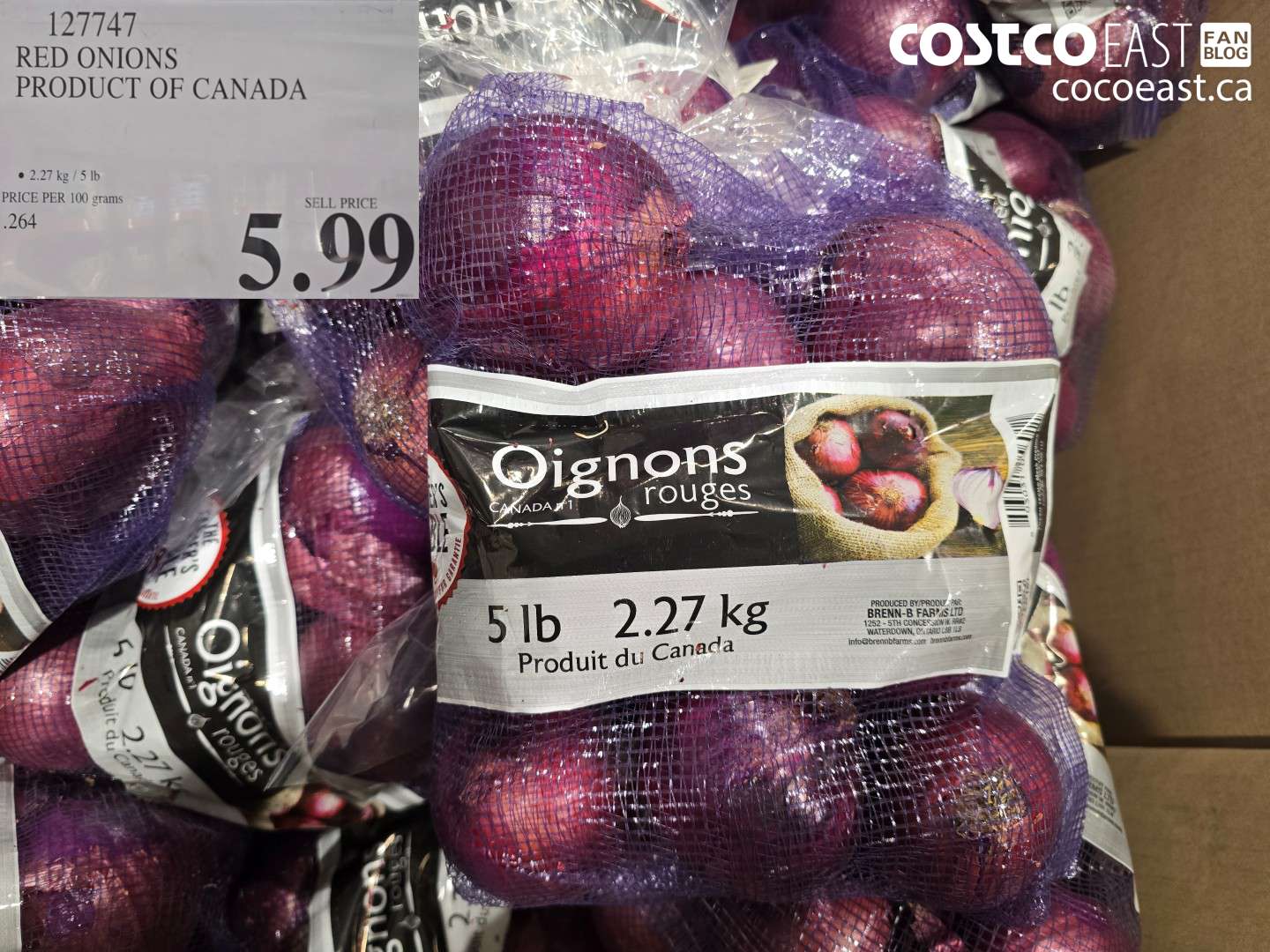 127747 RED ONIONS PRODUCT OF CANADA $5.99
