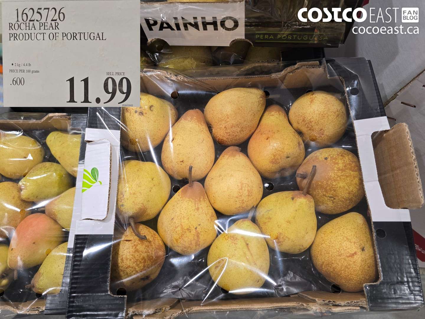 1625726 ROCHA PEAR PRODUCT OF PORTUGAL $11.99