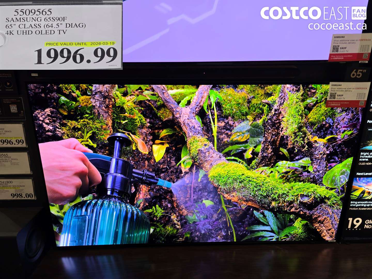 5509565 SAMSUNG 65S90F 65'' CLASS (64.5'' DIAG) 4K UHD OLED TV $1996.99