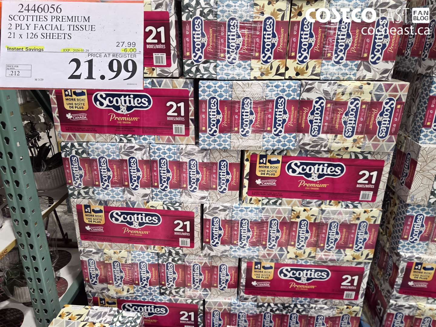 2446056 SCOTTIES PREMIUM 2 PLY FACIAL TISSUE 21 X 126 SHEETS ($6.00 INSTANT SAVINGS EXPIRES ON 2026-03-29) $21.99