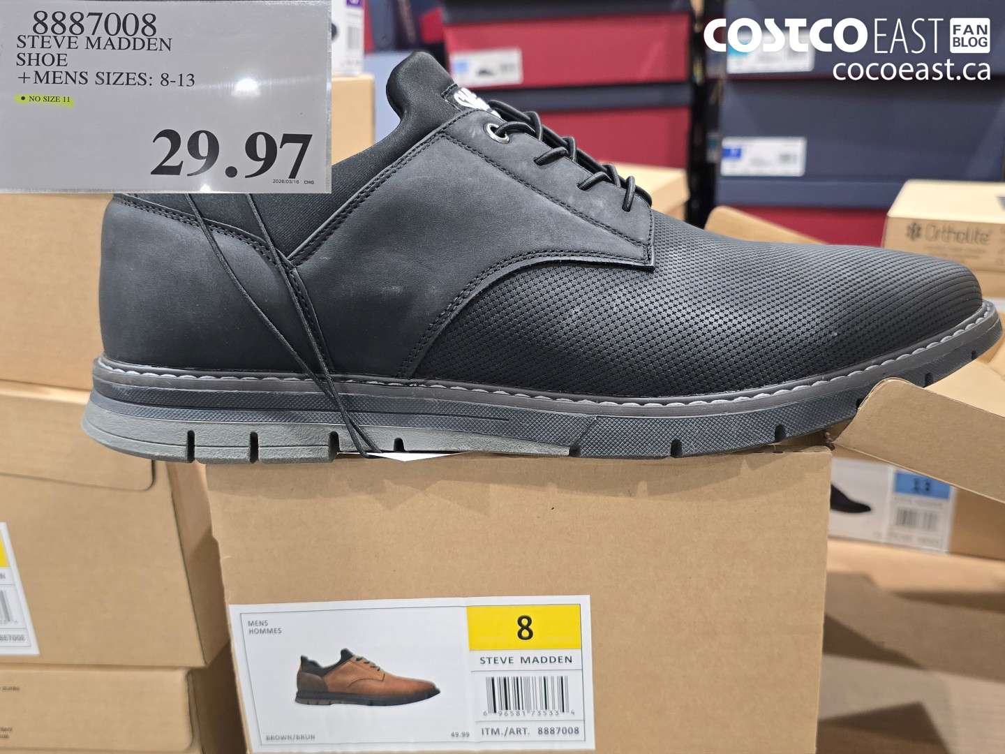 8887008 STEVE MADDEN SHOE +MENS SIZES: 8-13 $29.97