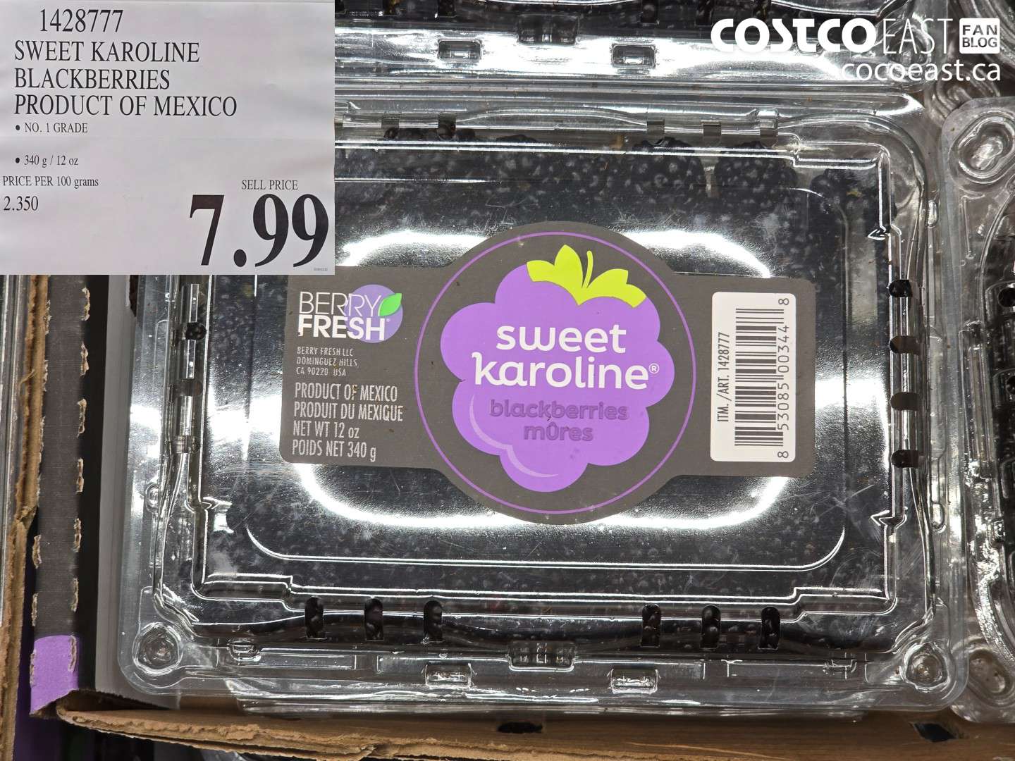 1428777 SWEET KAROLINE BLACKBERRIES PRODUCT OF MEXICO $7.99
