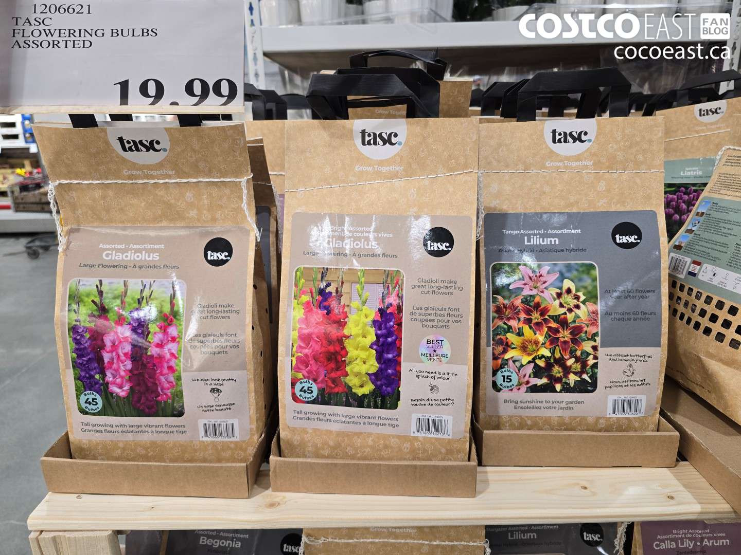 1206621 TASC FLOWERING BULBS ASSORTED $19.99