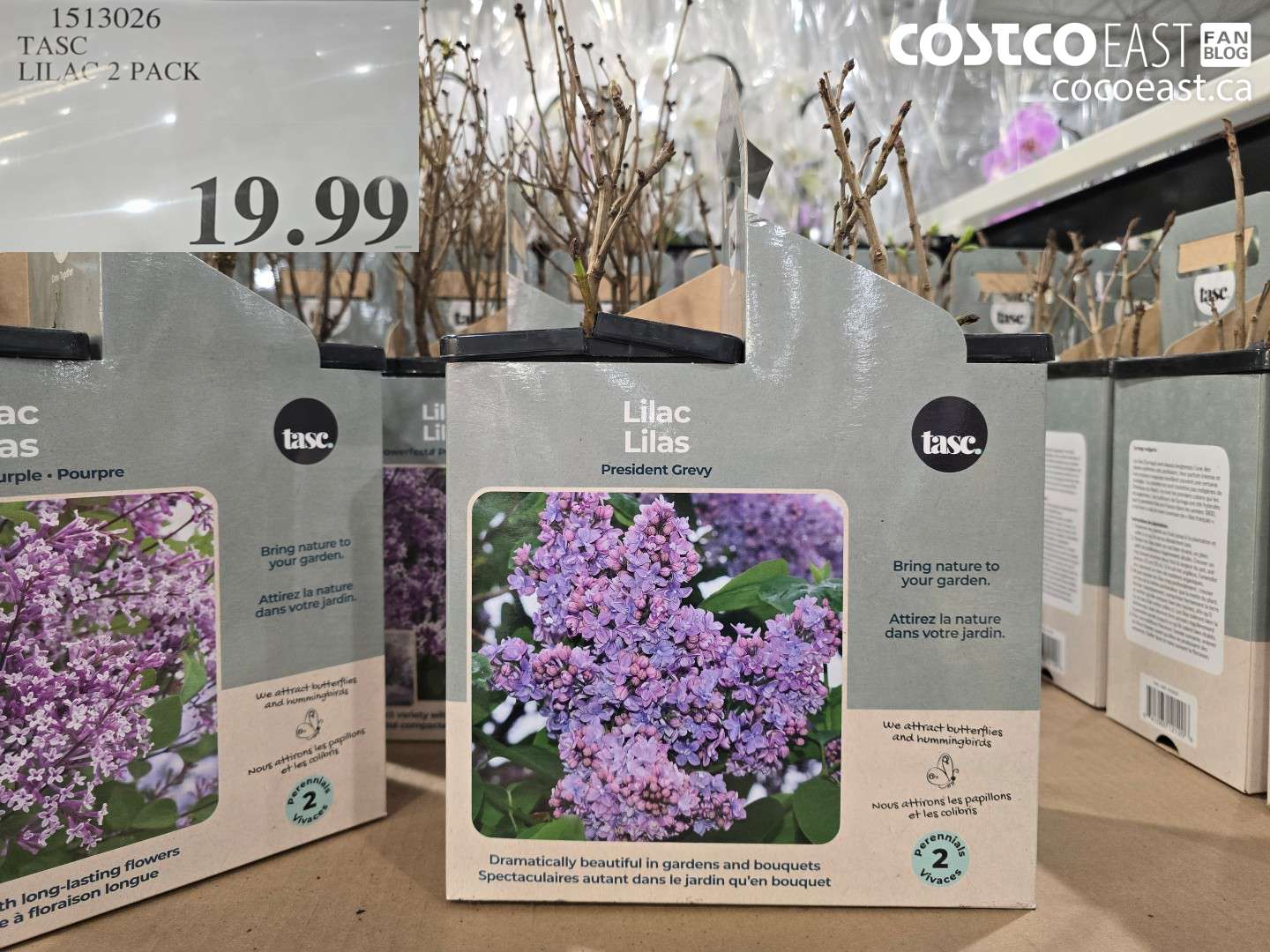 1513026 TASC LILAC 2 PACK $19.99