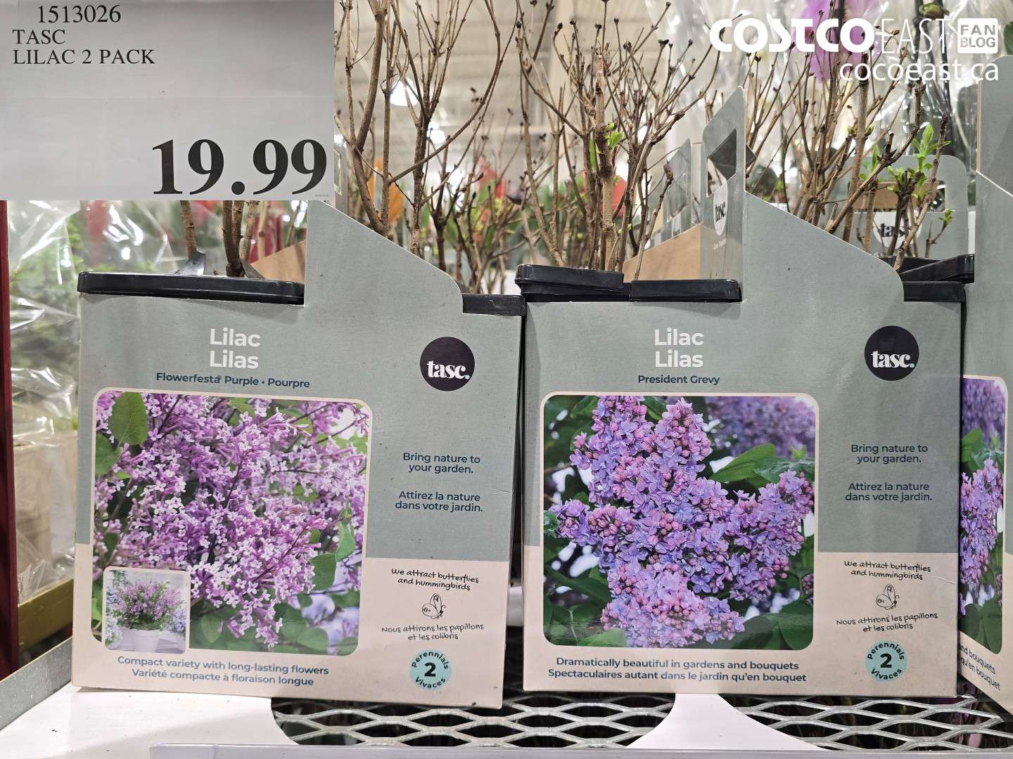 1513026 TASC LILAC 2 PACK $19.99