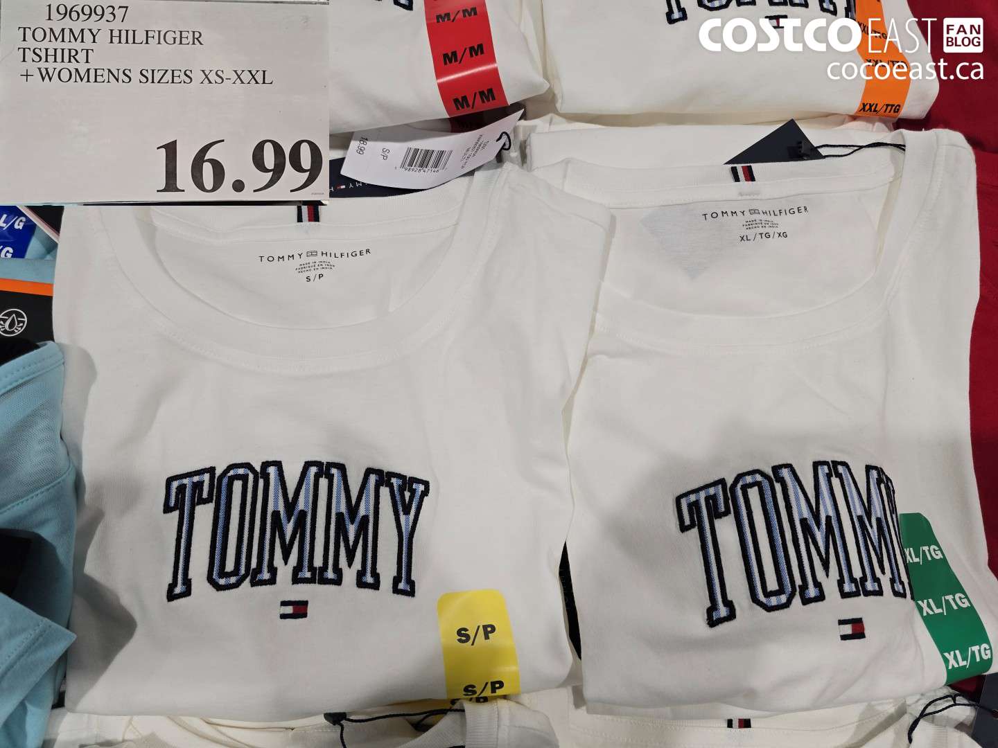 1969937 TOMMY HILFIGER TSHIRT + WOMENS SIZES XS-XXL $16.99