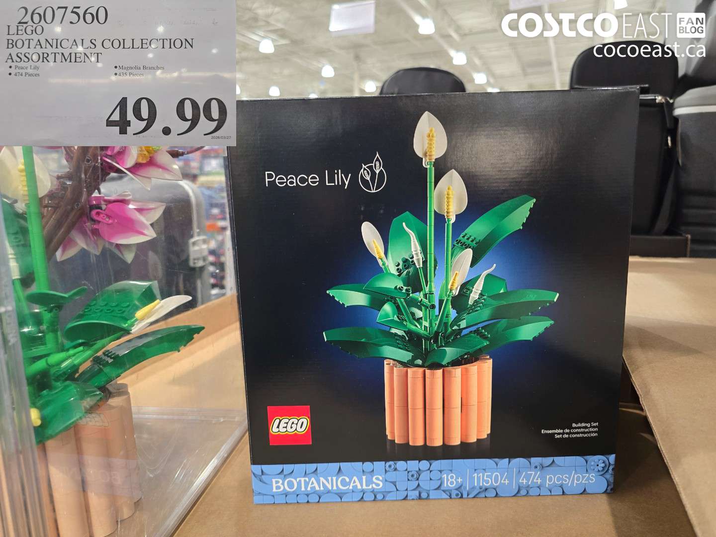 2607560 LEGO BOTANICALS COLLECTION ASSORTMENT $49.99