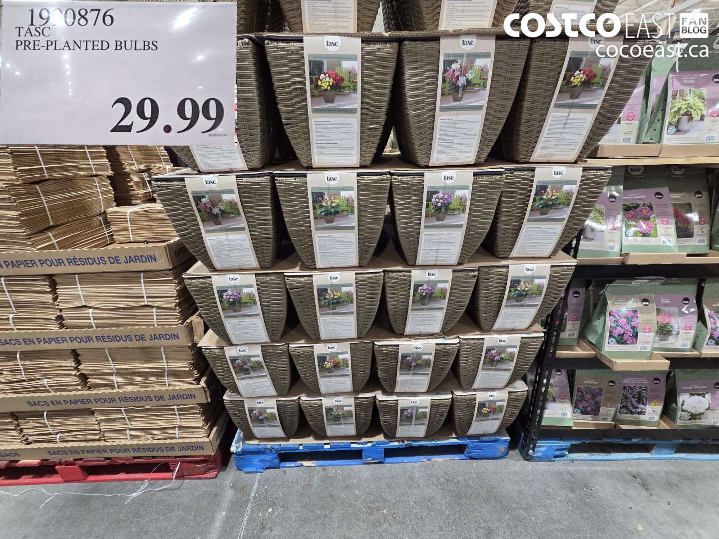 1990876 PRE-PLANTED BULBS $29.99