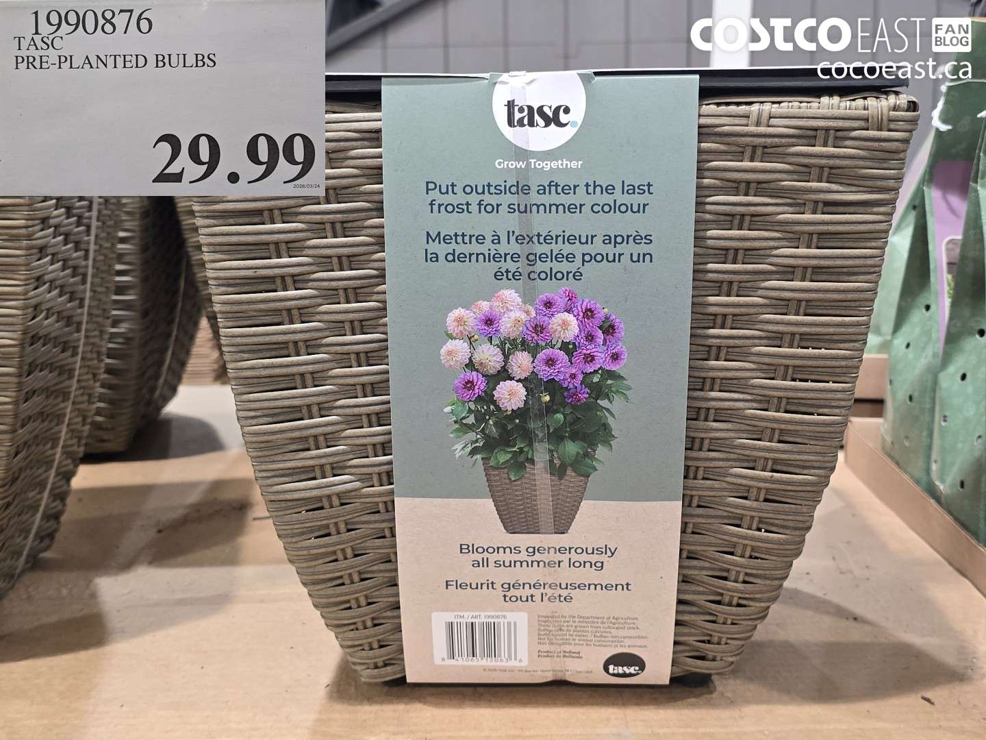 1990876 PRE-PLANTED BULBS $29.99