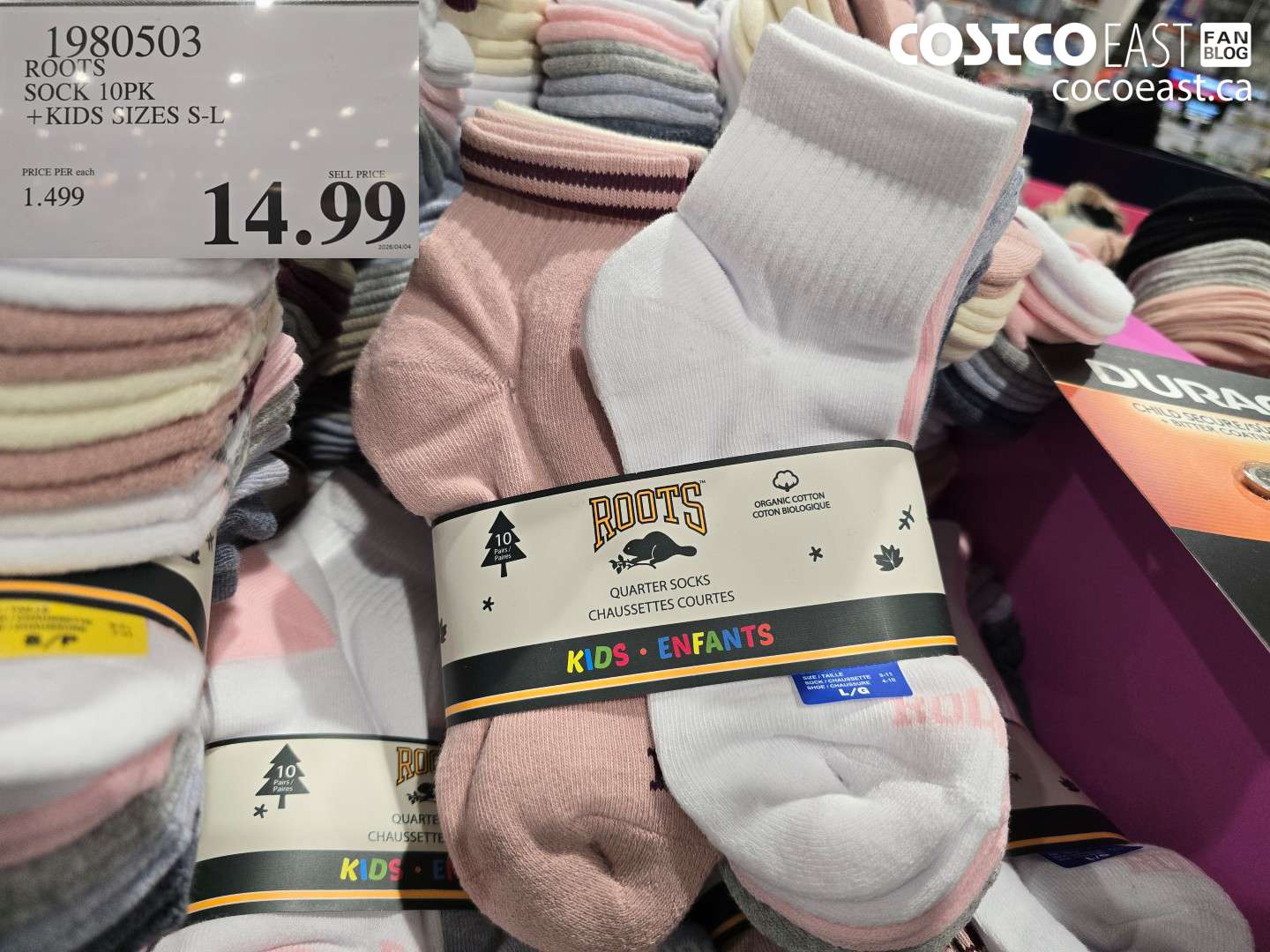1980503 ROOTS SOCK 10PK + KIDS SIZES S-L $14.99