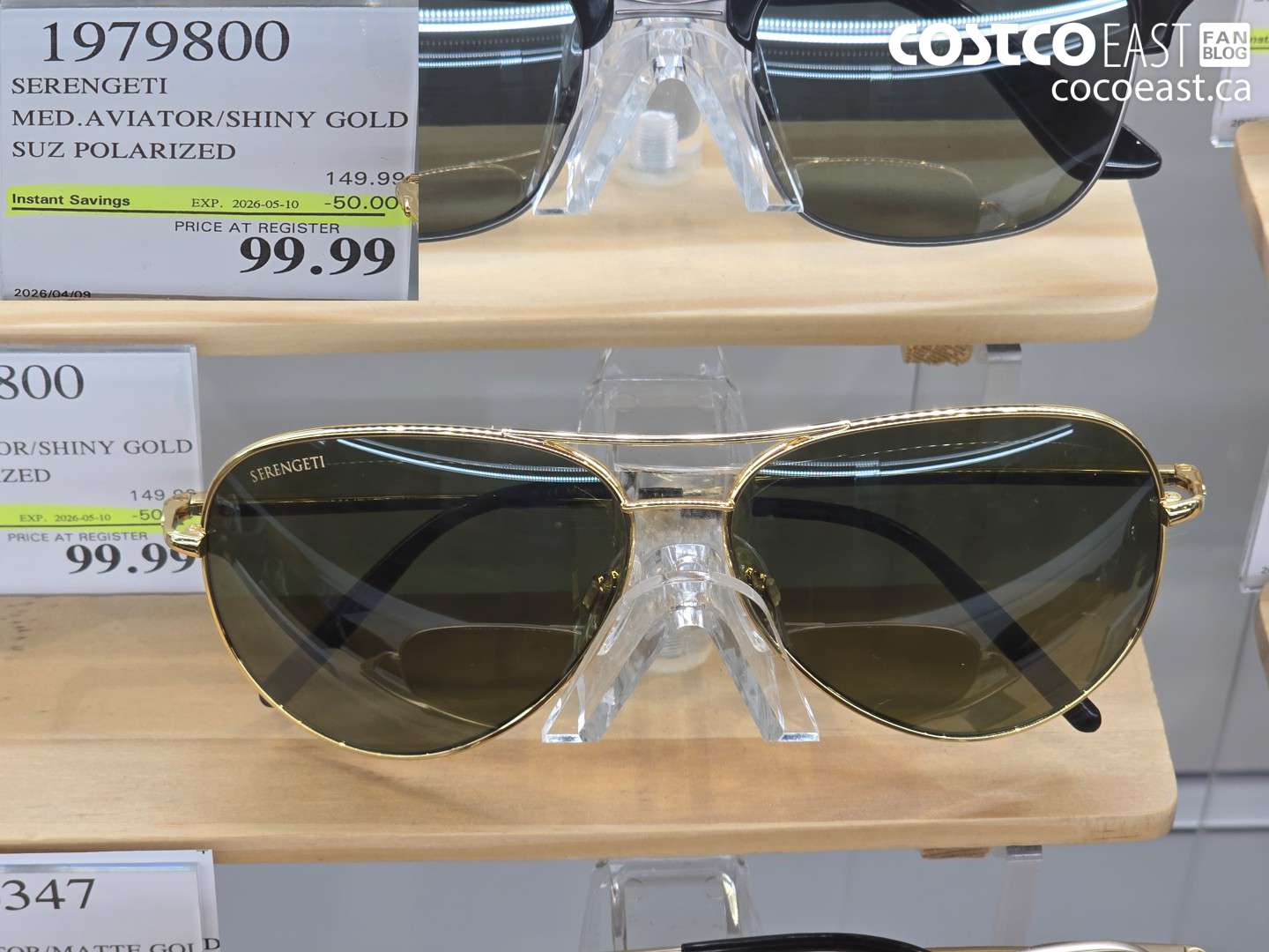 1979800 SERENGETI MED.AVIATOR/SHINY GOLD SUZ POLARIZED ($50.00 INSTANT SAVINGS EXPIRES ON 2026-05-10) $99.99