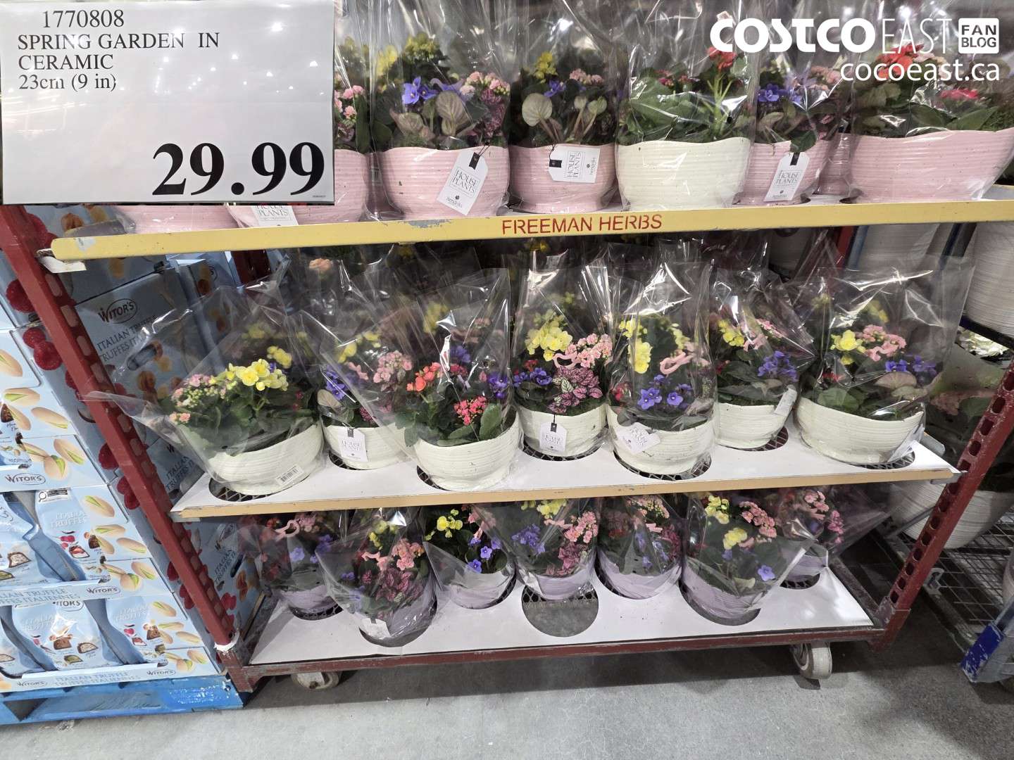 1770808 SPRING GARDEN IN CERAMIC 23CM (9 IN) $29.99