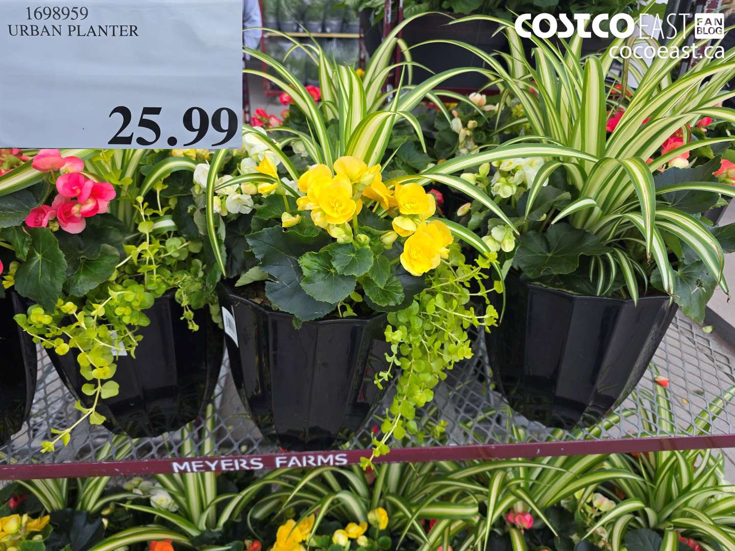 1698959 URBAN PLANTER $25.99