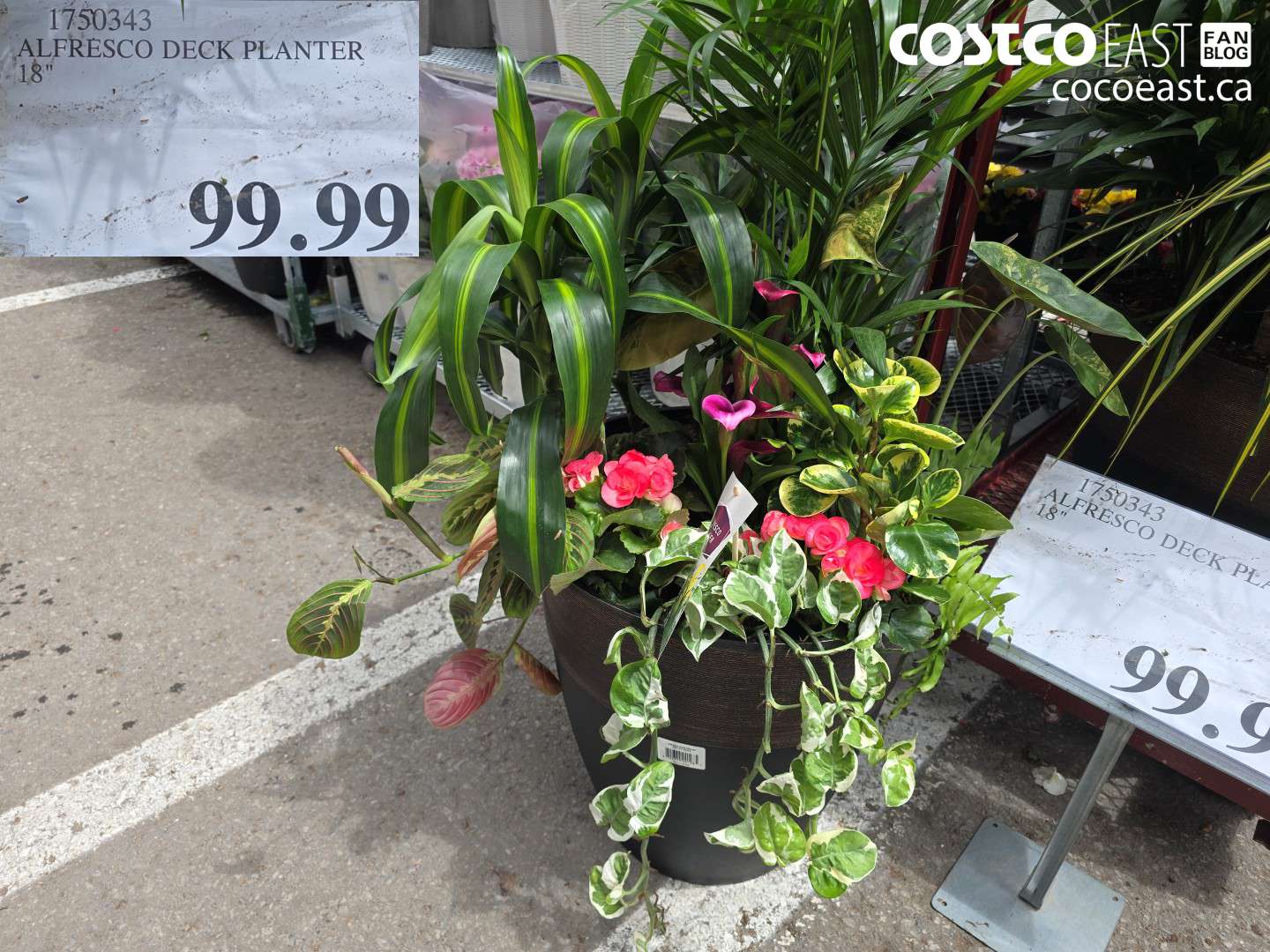 1750343 ALFRESCO DECK PLANTER 18 IN $99.99
