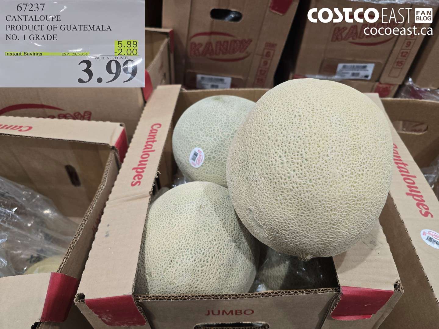67237 CANTALOUPE PRODUCT OF GUATEMALA NO. 1 GRADE ($2.00 INSTANT SAVINGS EXPIRES ON 2026-05-10) $3.99