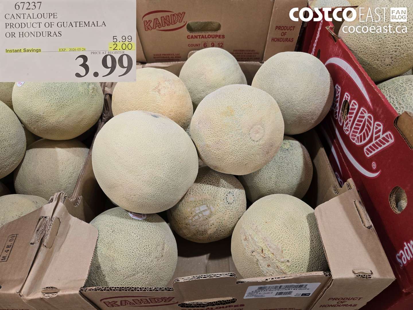 67237 CANTALOUPE PRODUCT OF GUATEMALA OR HONDURAS ($2.00 INSTANT SAVINGS EXPIRES ON 2026-05-24) $3.99