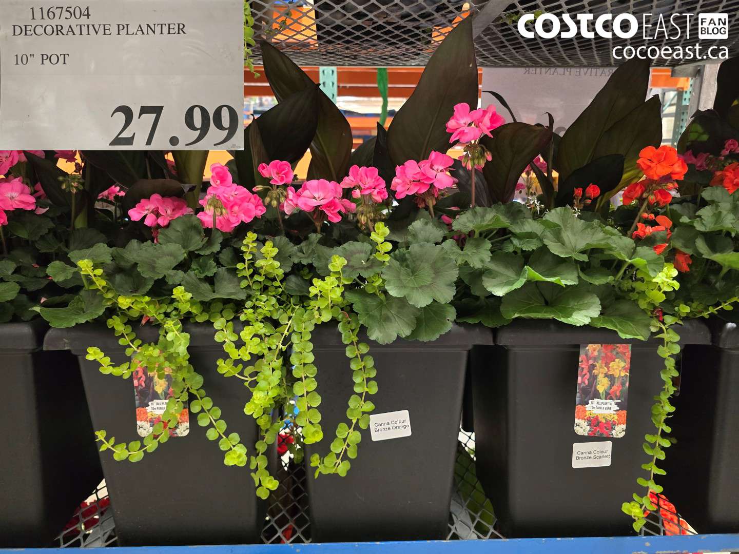 1167504 DECORATIVE PLANTER 10