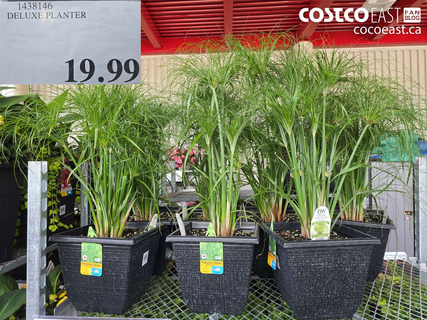 1438146 DELUXE PLANTER $19.99