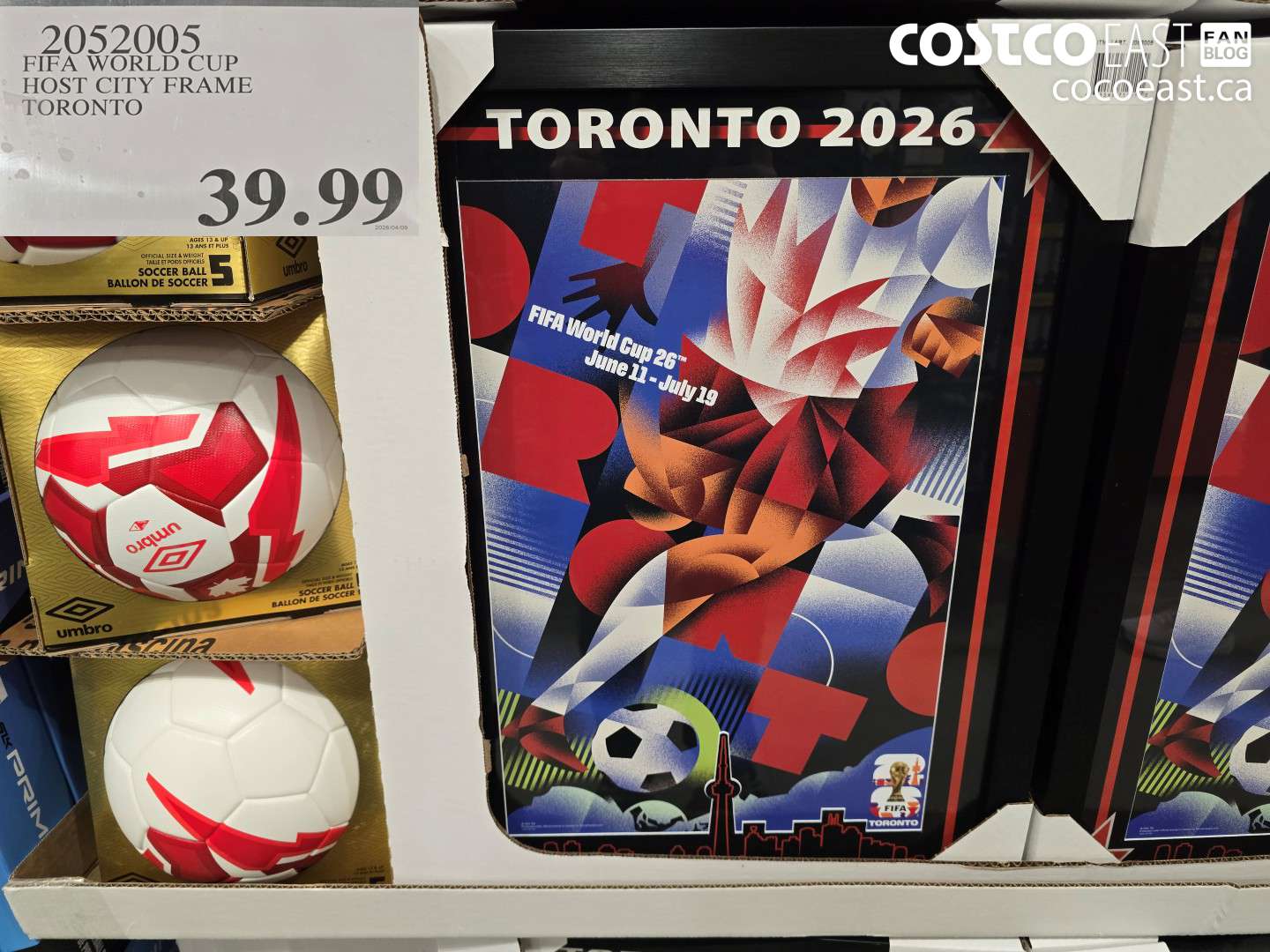 2052005 FIFA WORLD CUP HOST CITY FRAME TORONTO $39.99