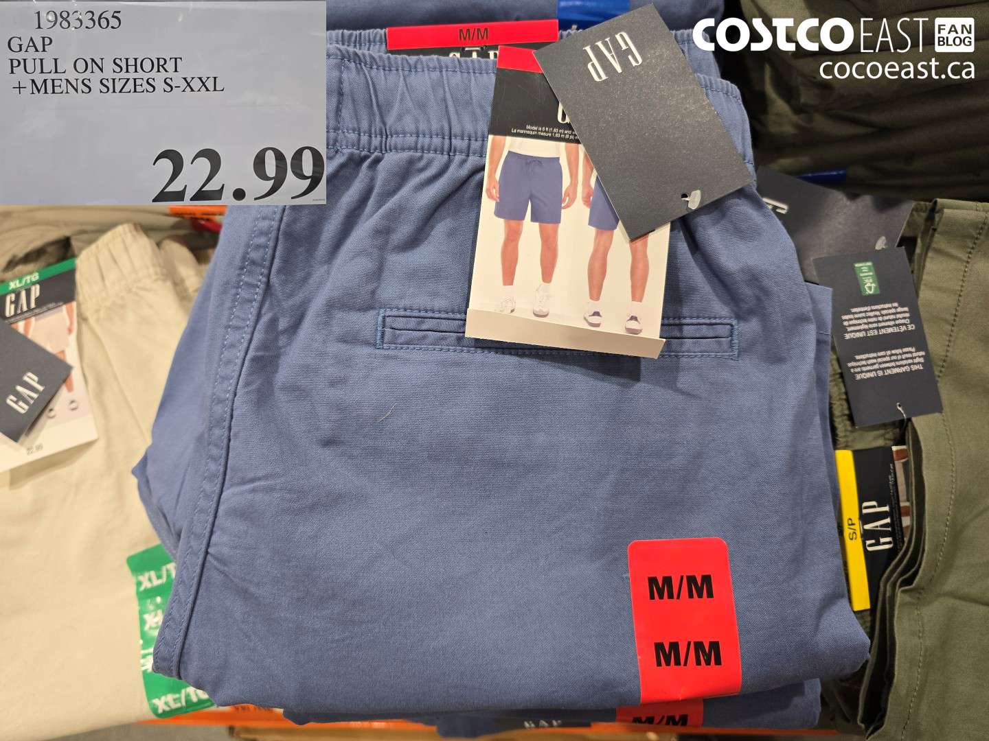 1983365 GAP PULL ON SHORT + MENS SIZES S-XXL $22.99