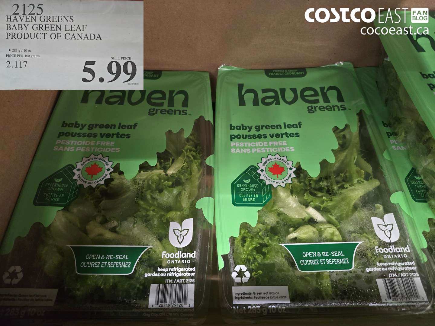 2125 HAVEN GREENS BABY GREEN LEAF PRODUCT OF CANADA $5.99