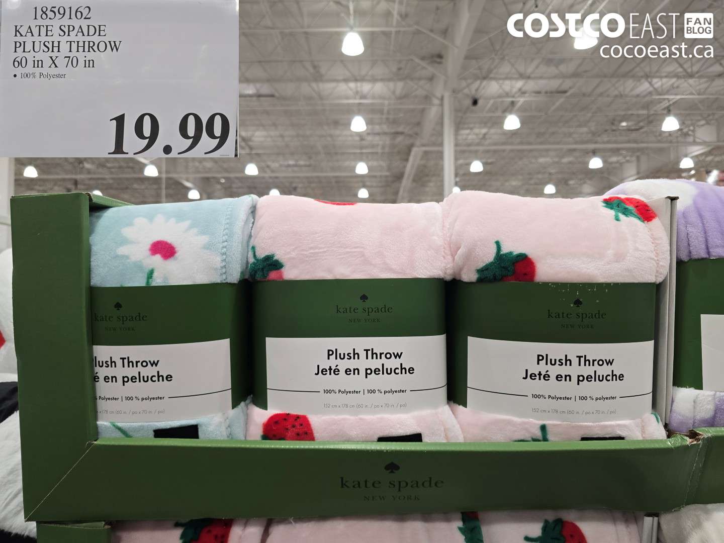1859162 KATE SPADE PLUSH THROW 60 IN X 70 IN $19.99