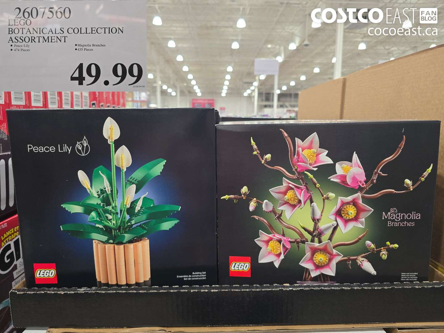 2607560 LEGO BOTANICALS COLLECTION ASSORTMENT $49.99